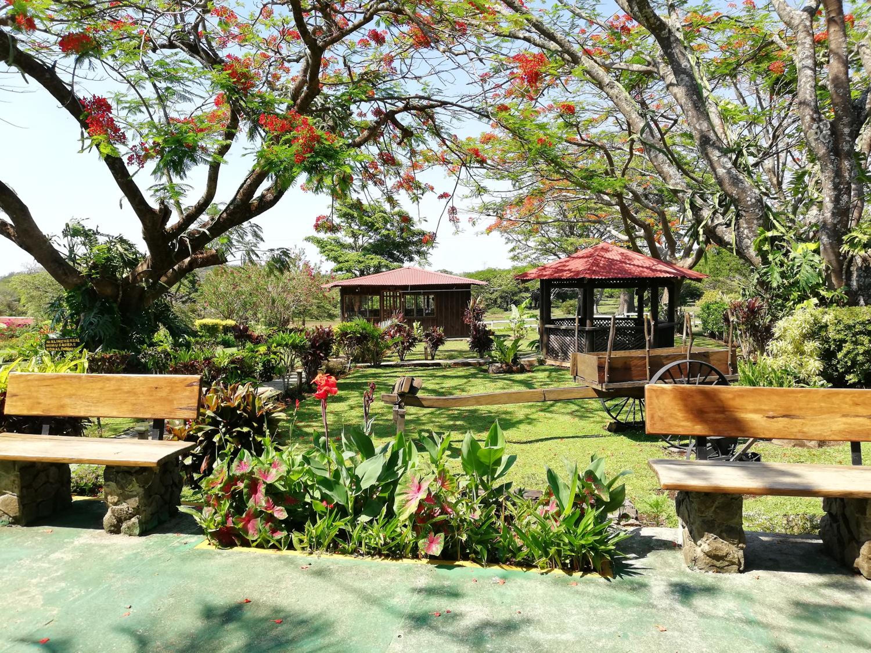 Hotel Rincón de la Vieja Lodge