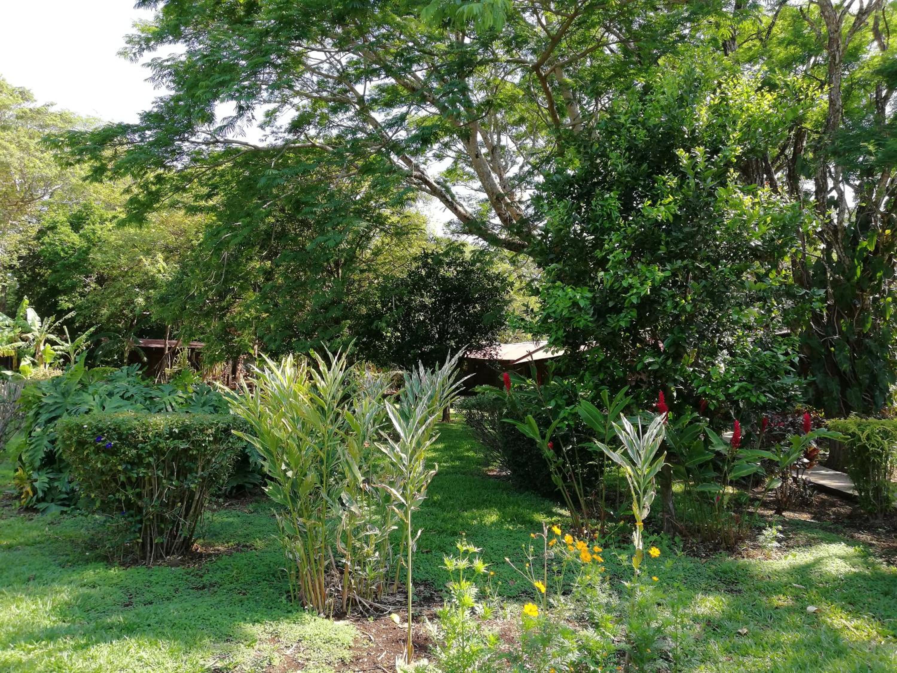 Hotel Rincón de la Vieja Lodge