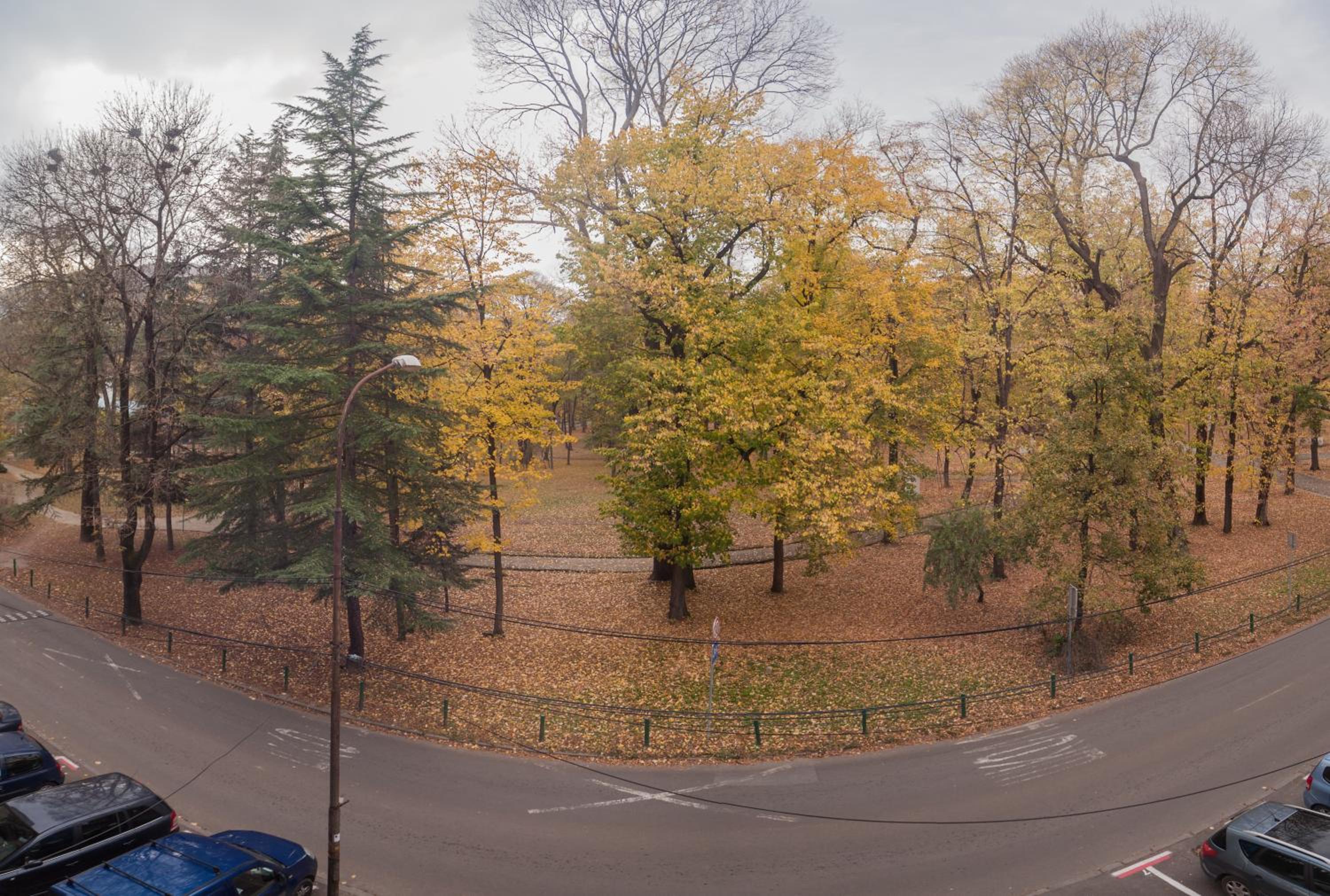 Park Apartman view 4