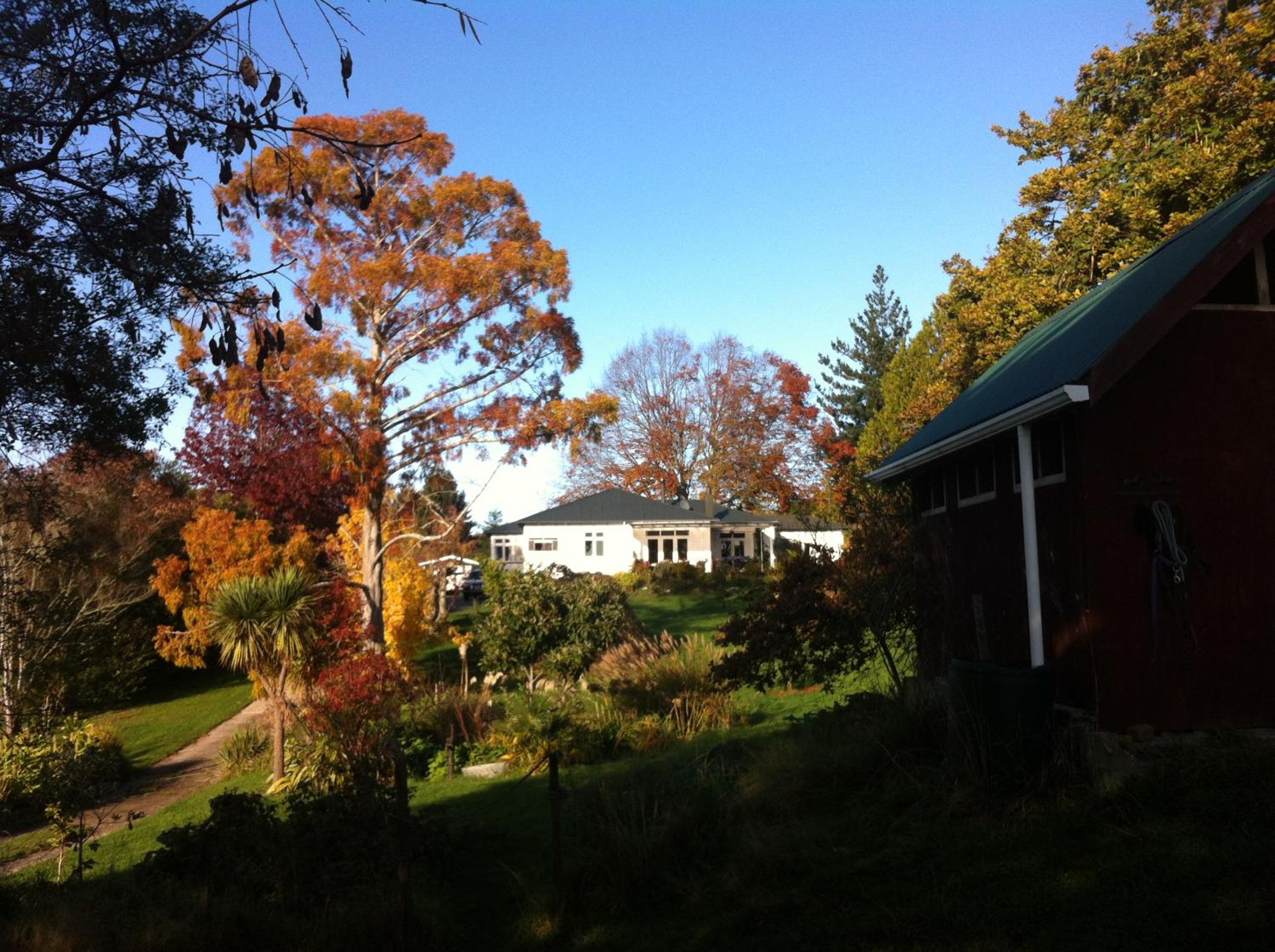 Photo 20