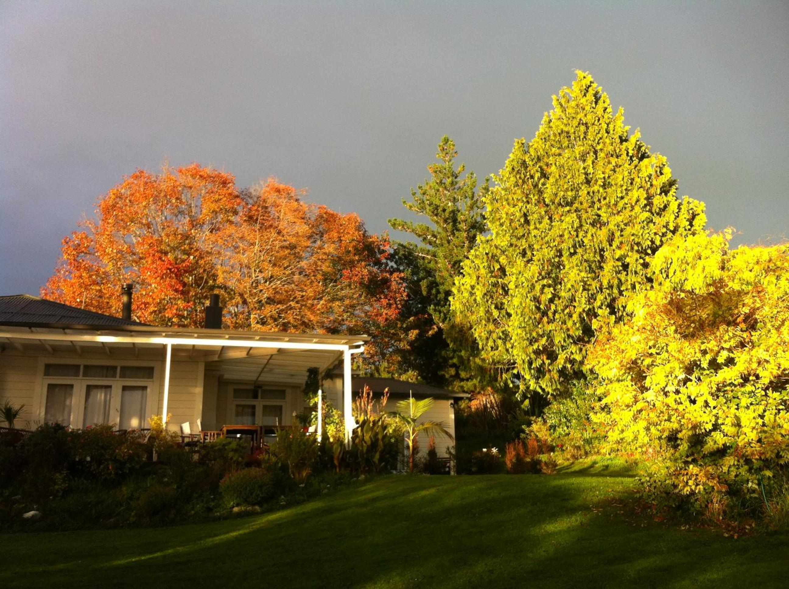 Photo 21