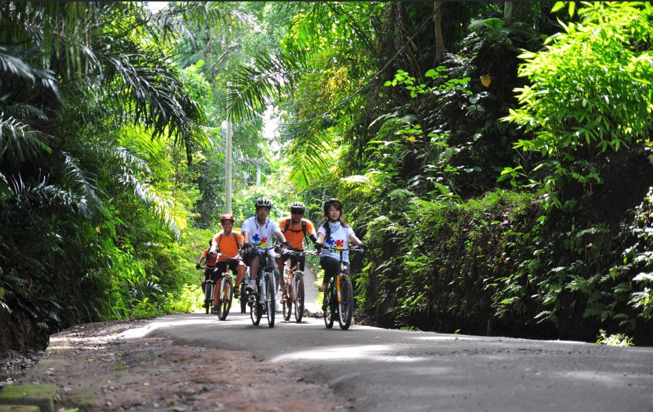 The Mahogany Villa Ubud