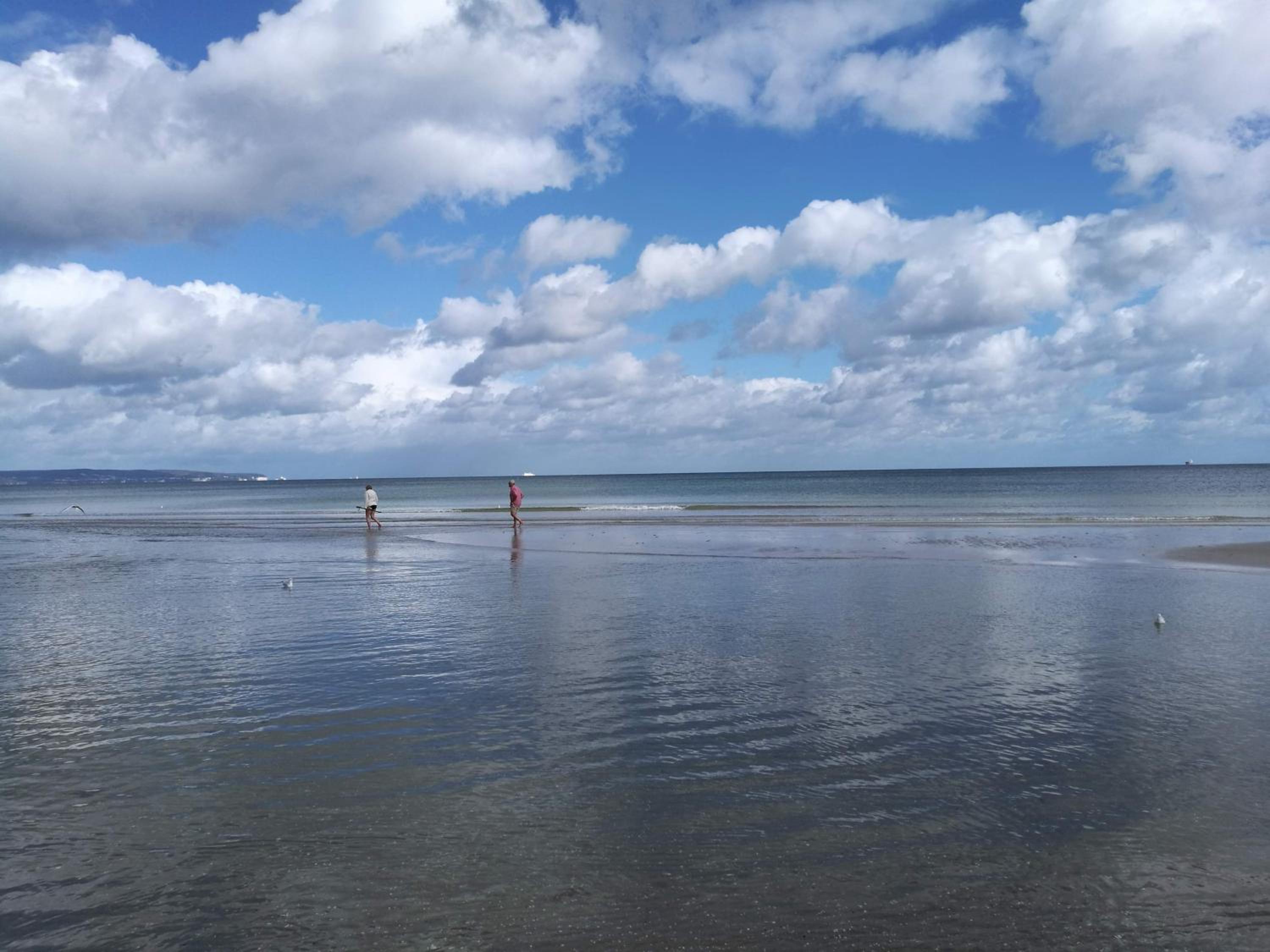 Dünenpark in Binz Zwischen Wald und Meer view 5