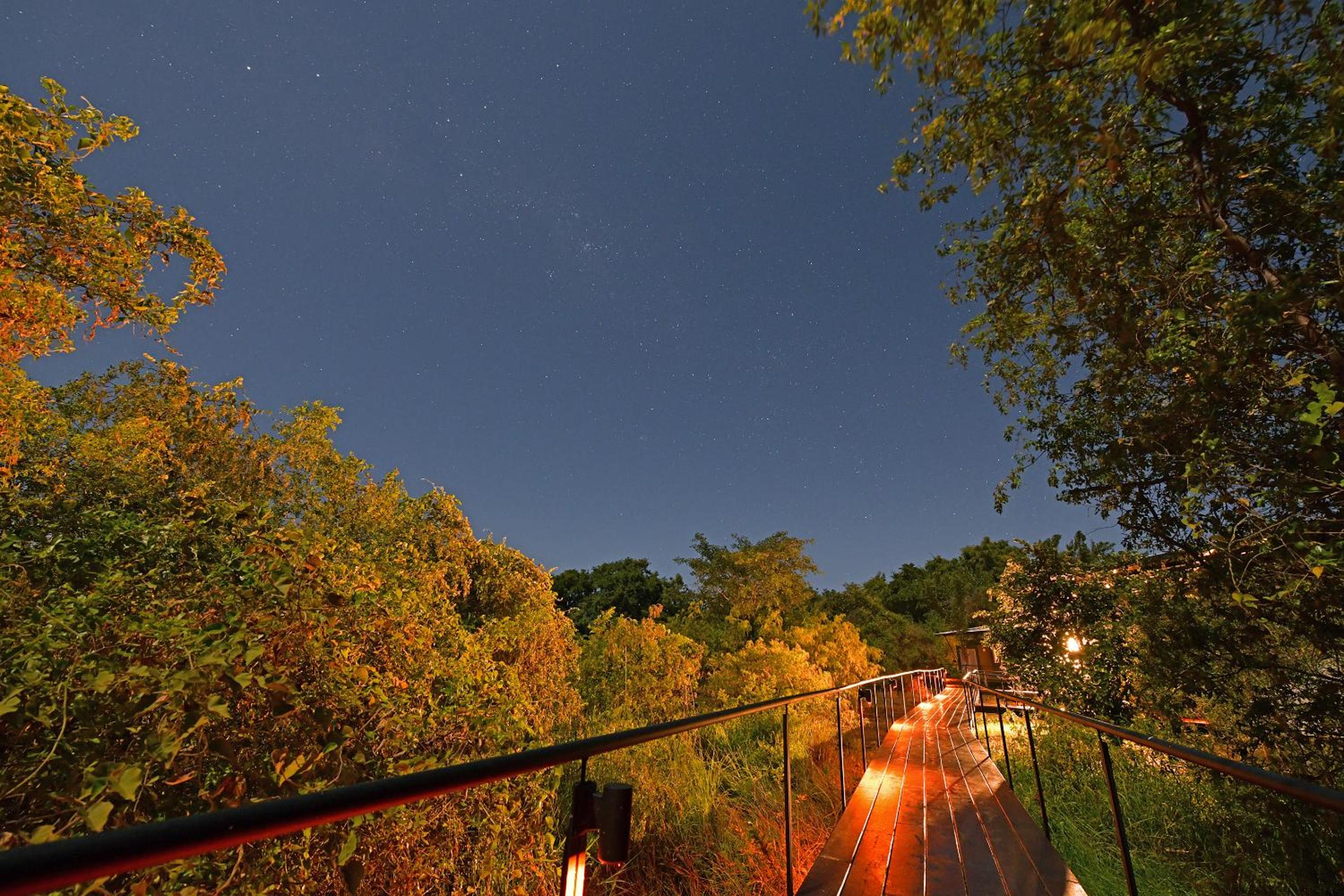 Zambezi Mubala Lodge