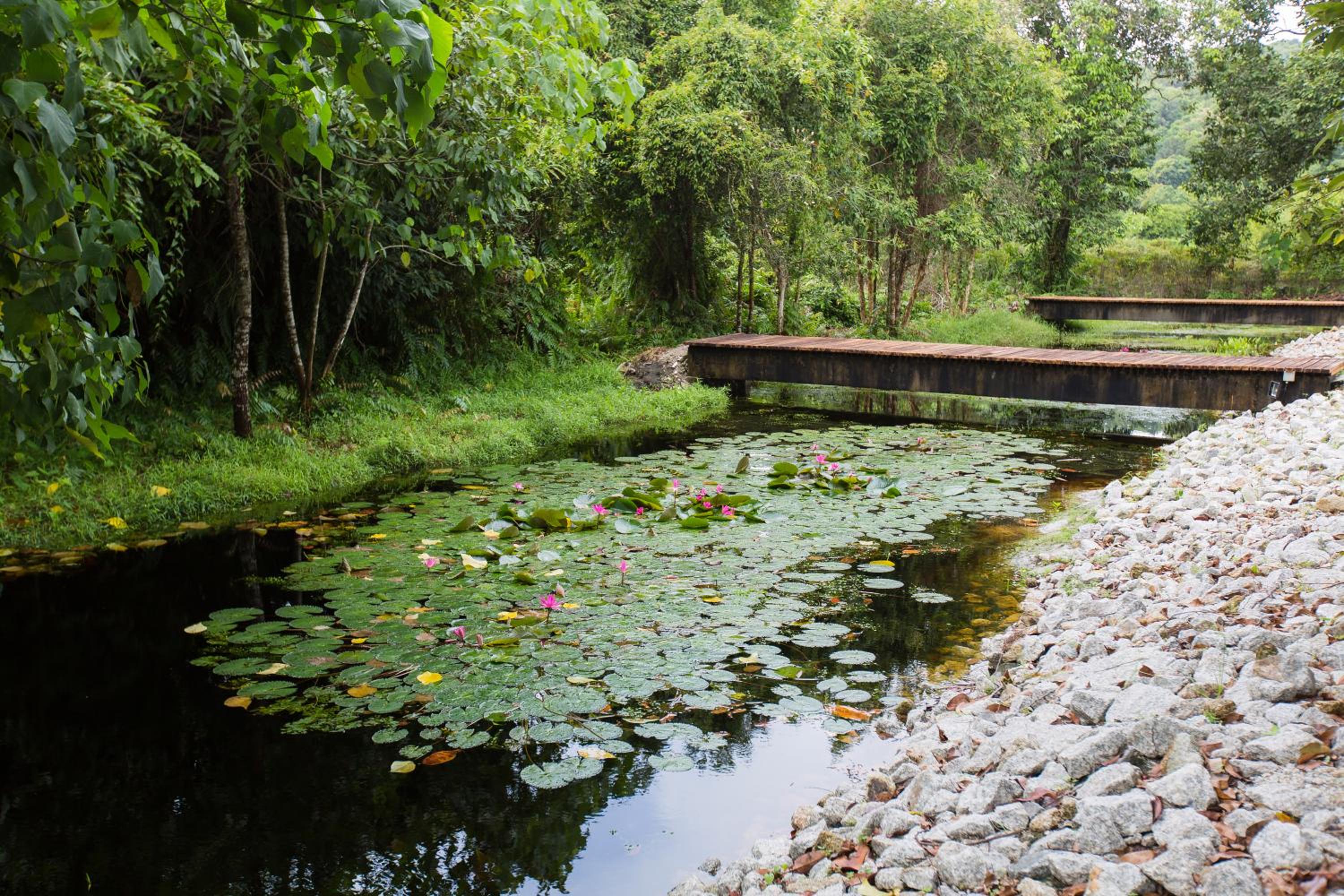 La Pari-Pari, Pantai Cenang - 23