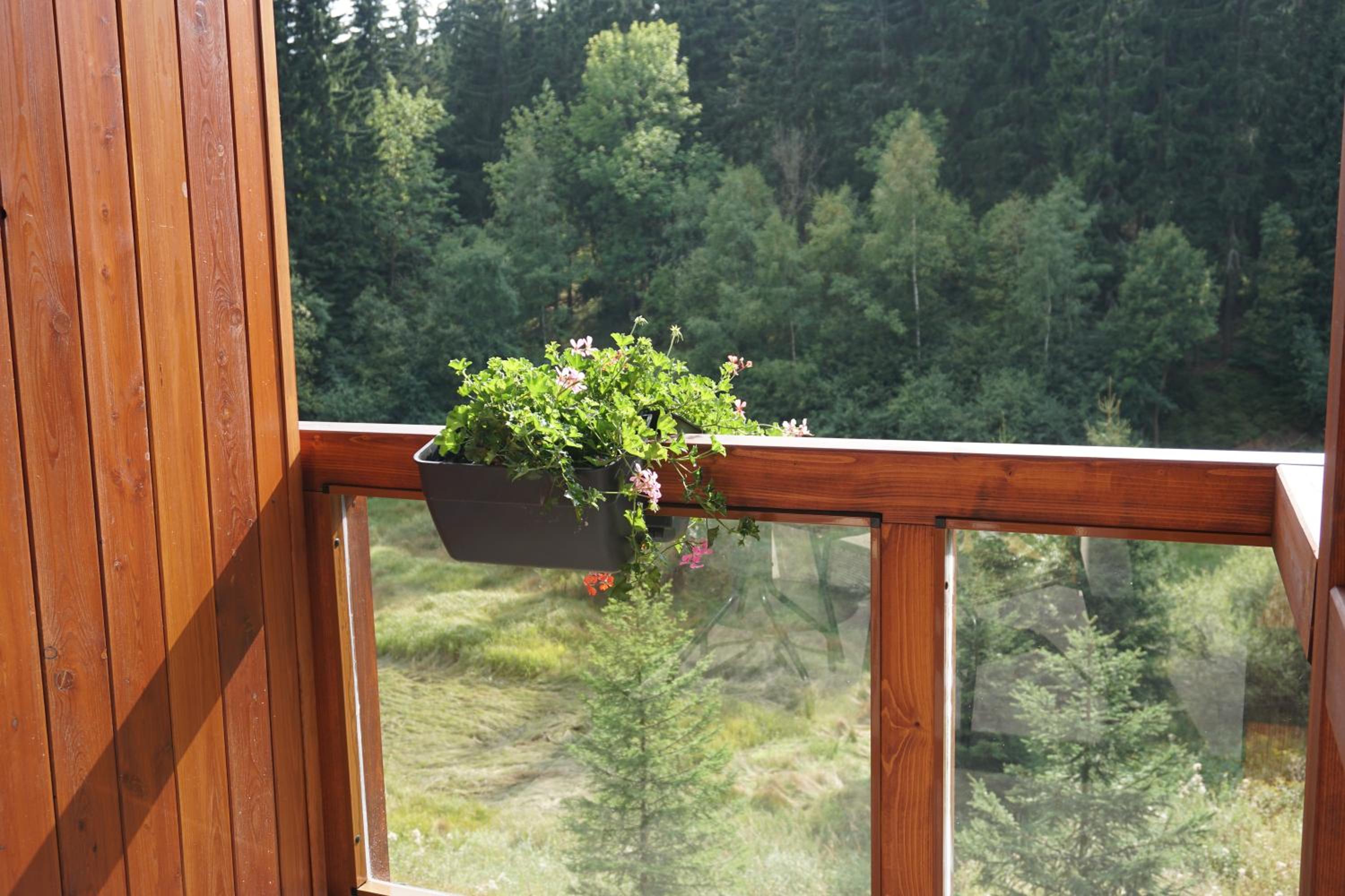 Jezírko lesní restaurant & penzion