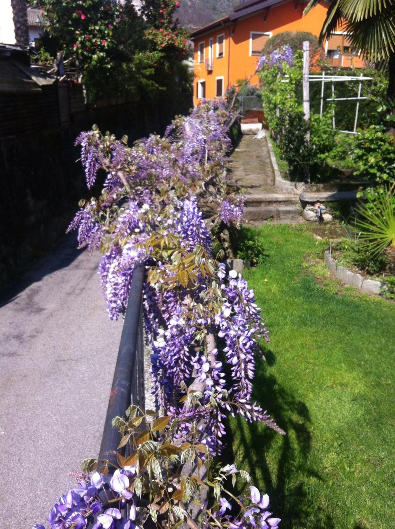 B&B Villa Dei Pini