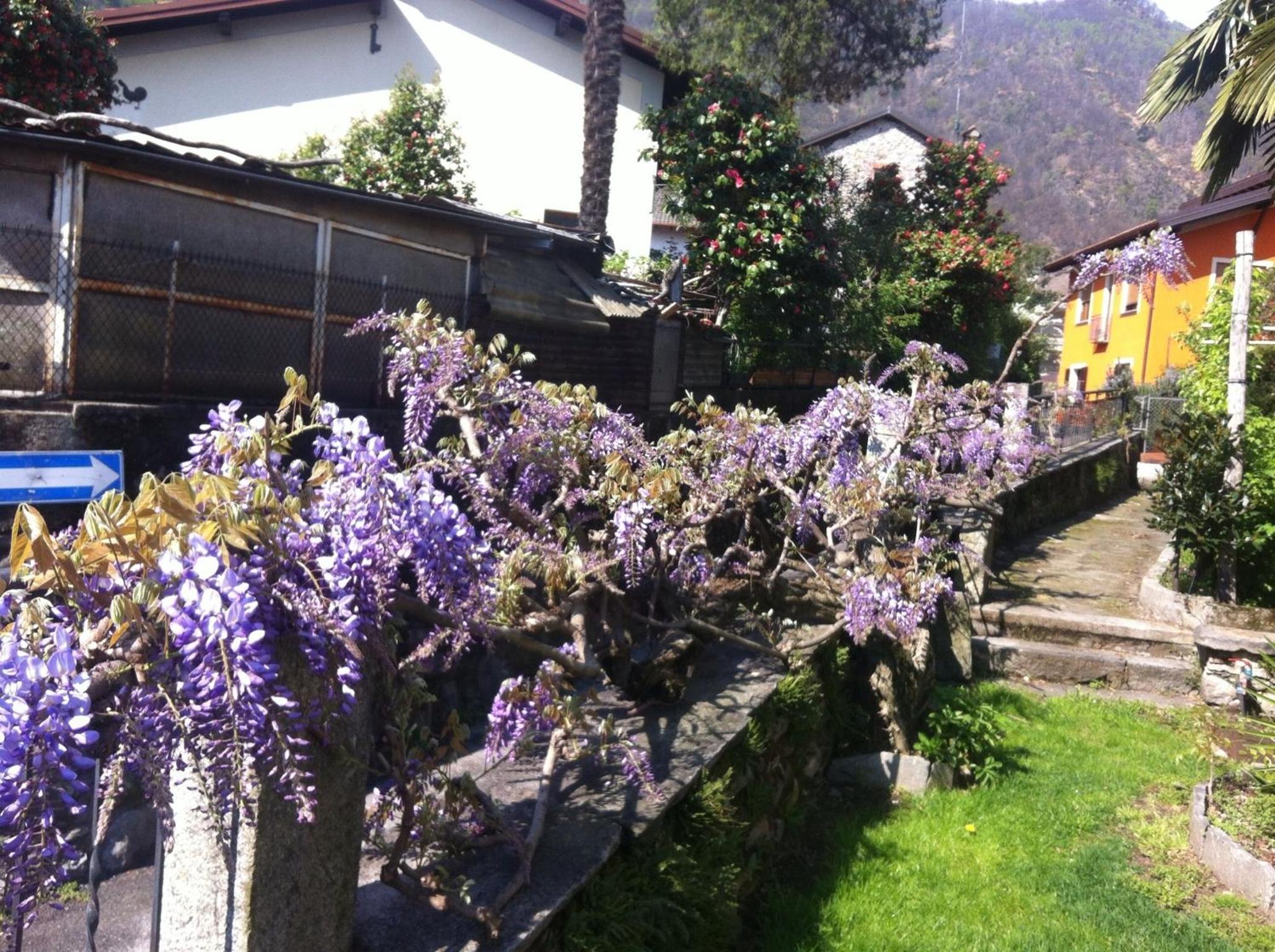 B&B Villa Dei Pini