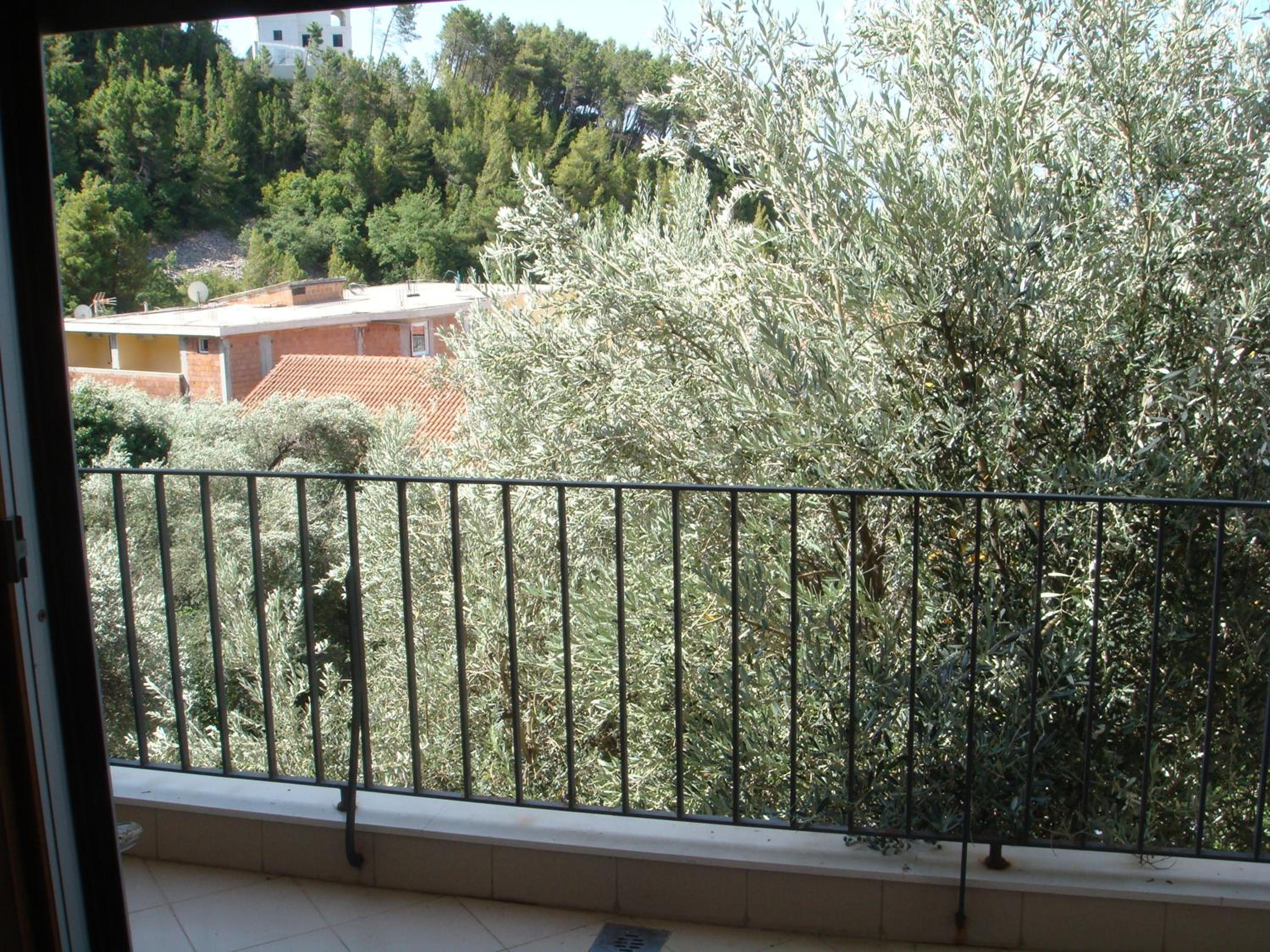 Apartments Orfej photo 5