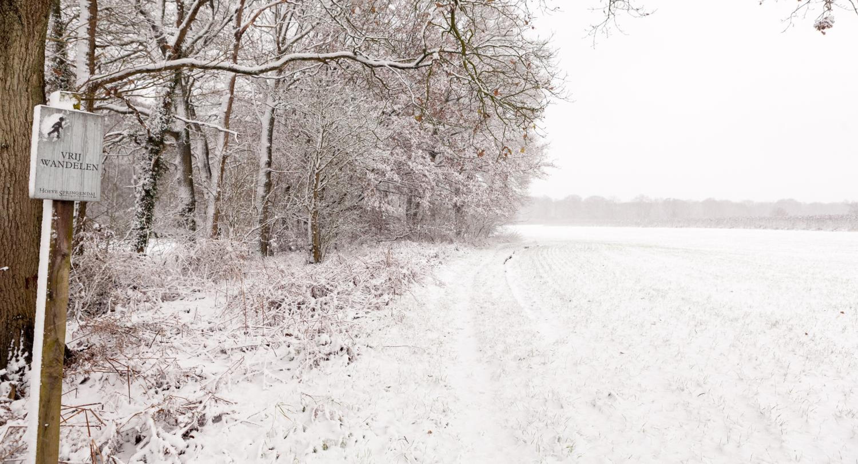 Hoeve Springendal