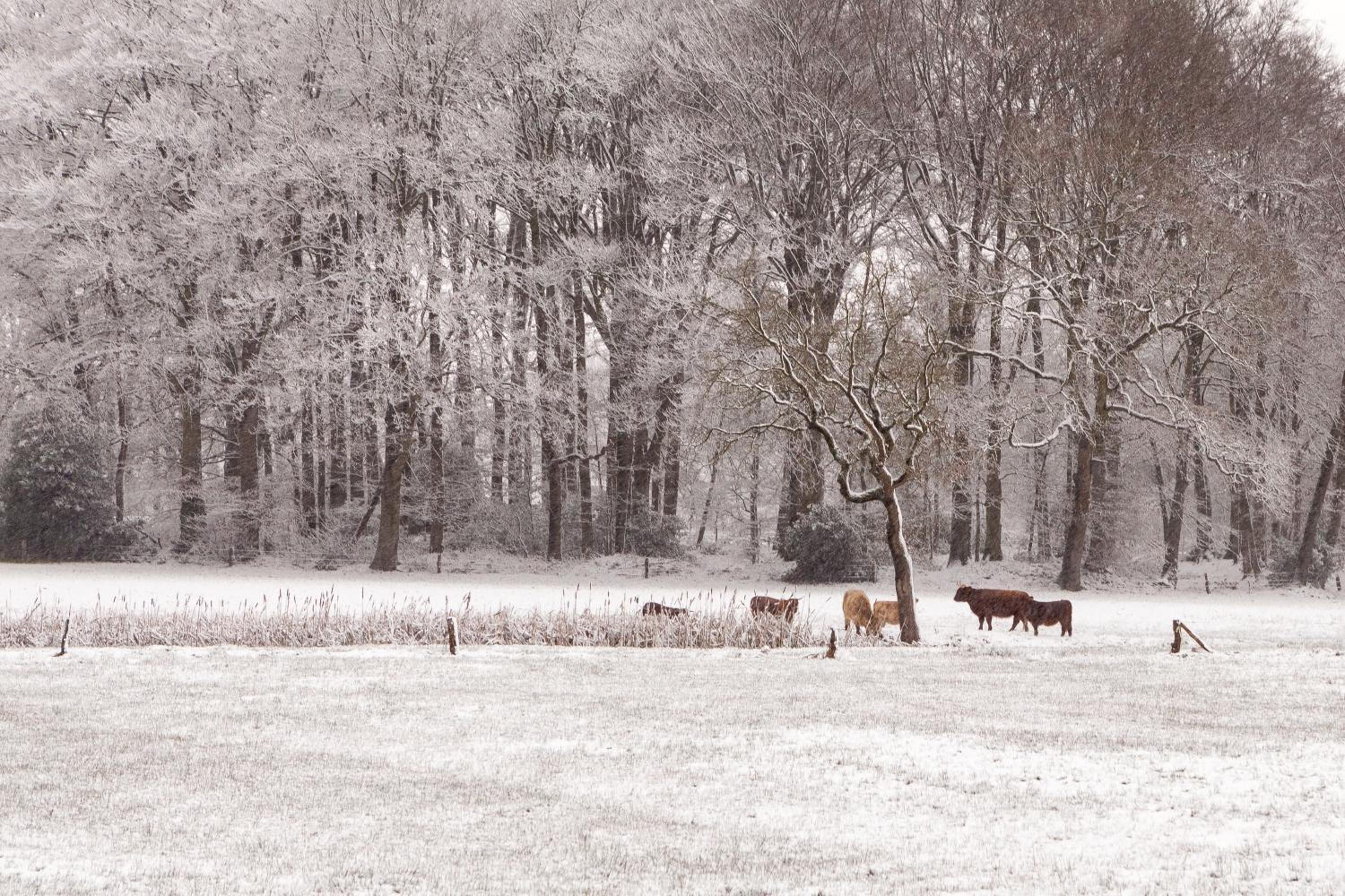 Hoeve Springendal