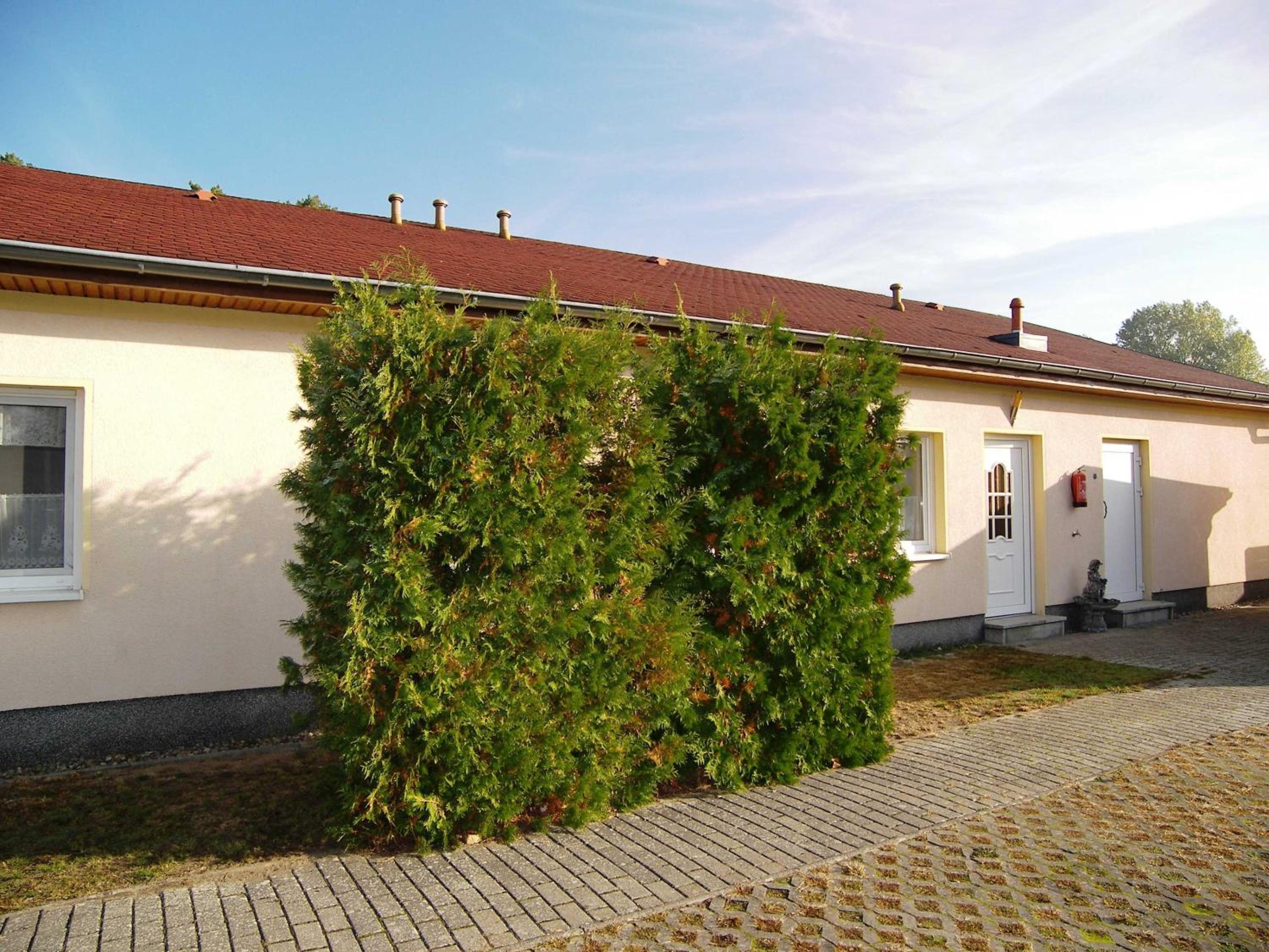 Photo 46