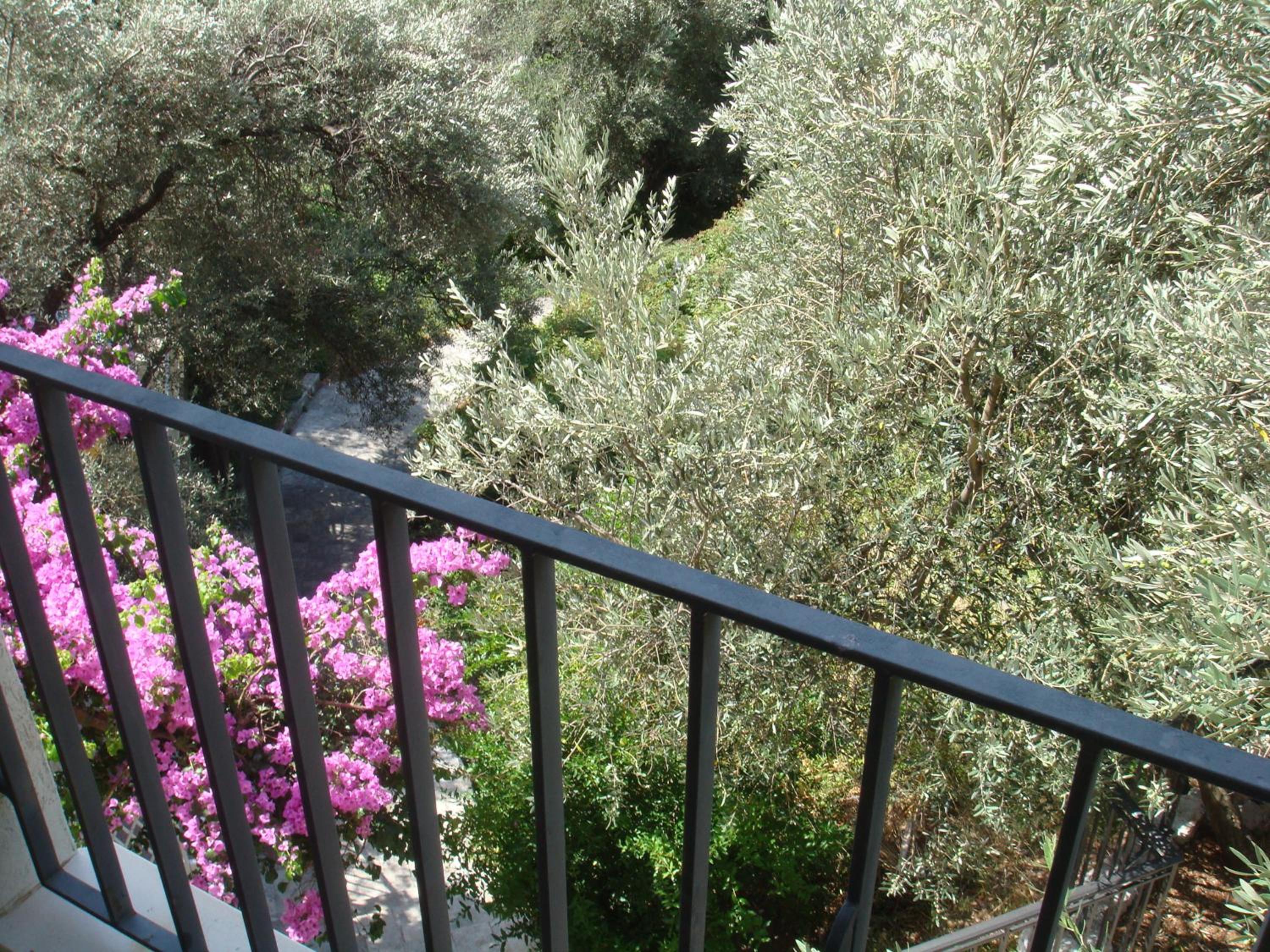 Apartments Orfej photo 2