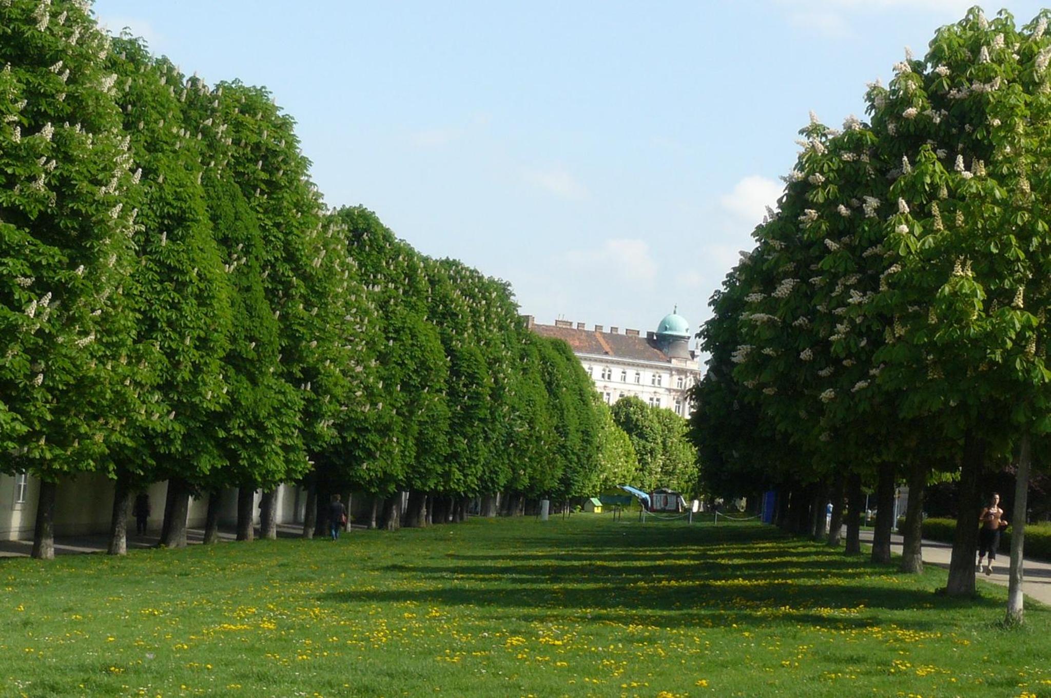 Studio-Apartment Augarten