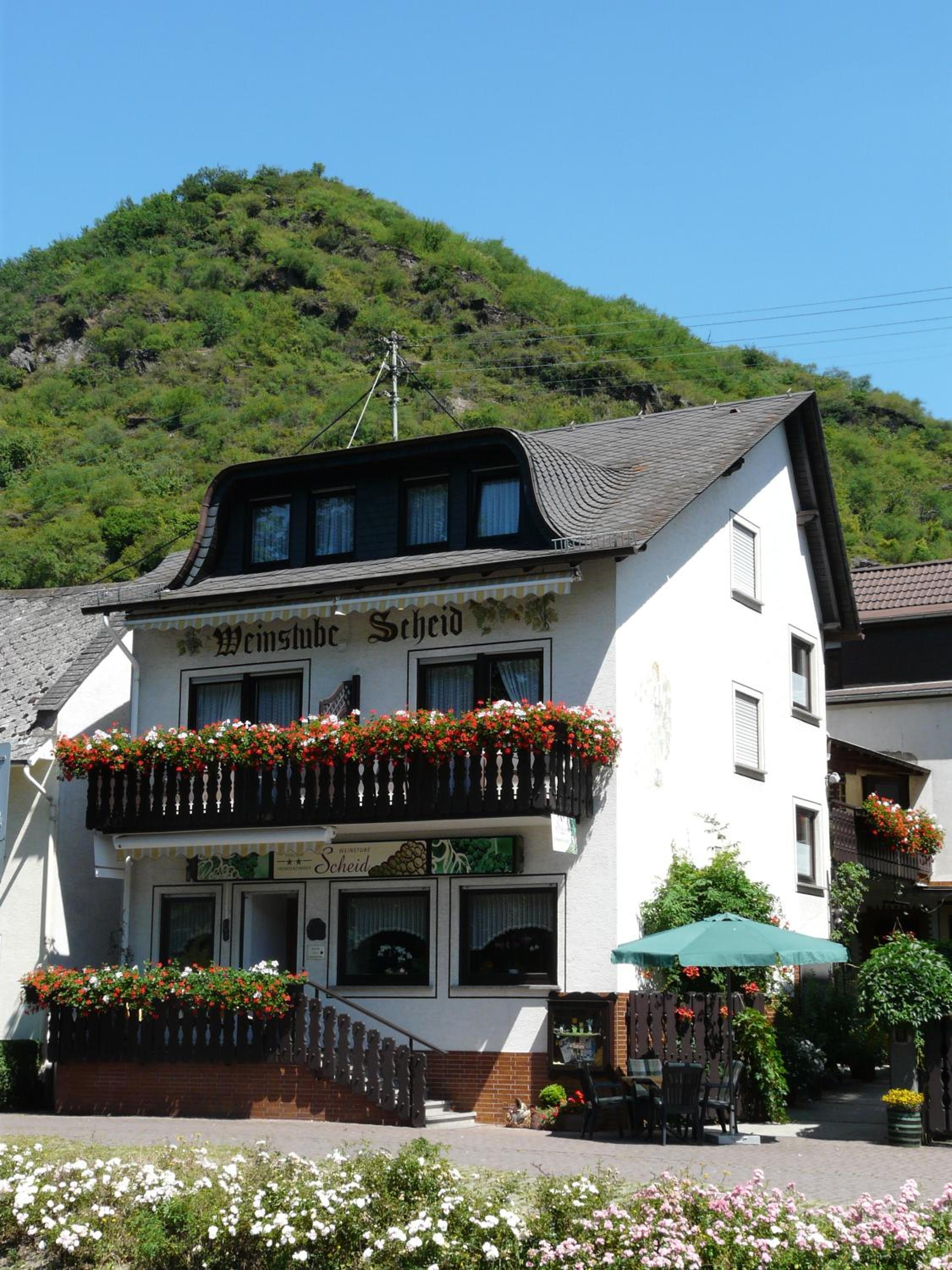 Hotel Pension / Ferienwohnungen Scheid - Image 1