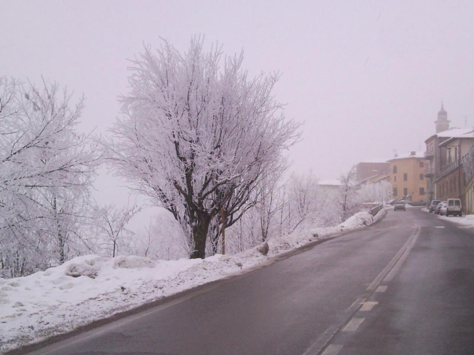 Photo 66