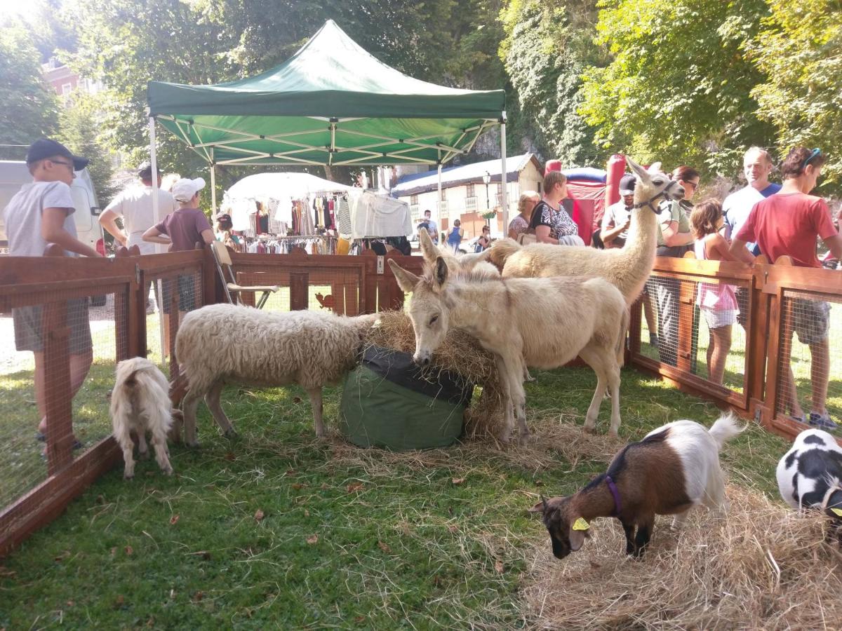 Résidence du Parc avec Sauna