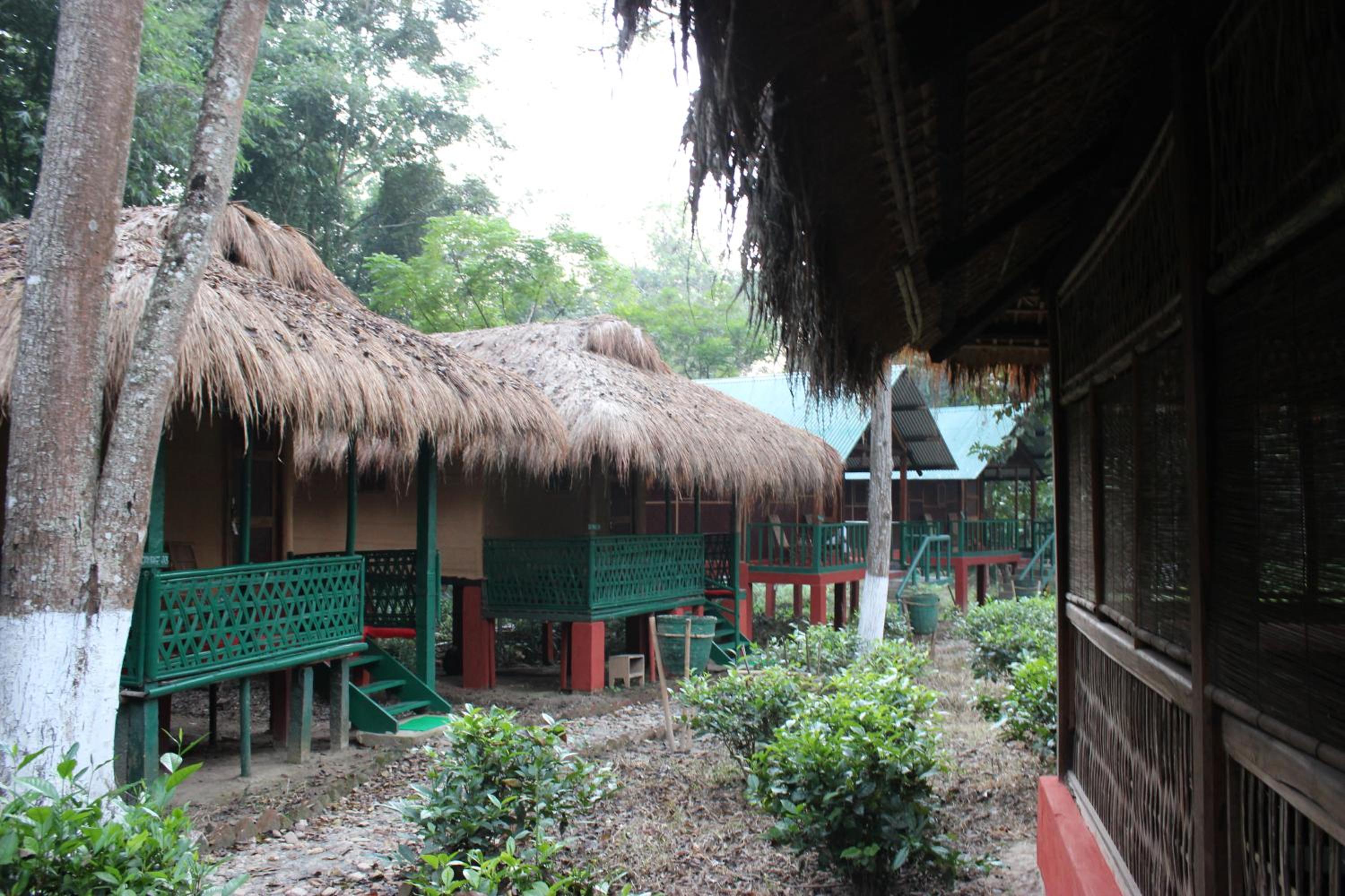 Photo 20