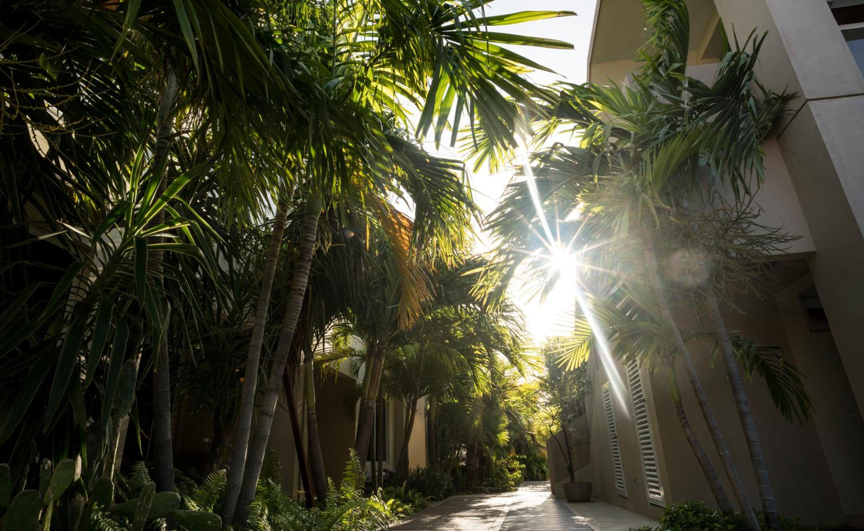 Costa Esmeralda Village