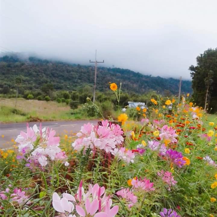 Photo 114