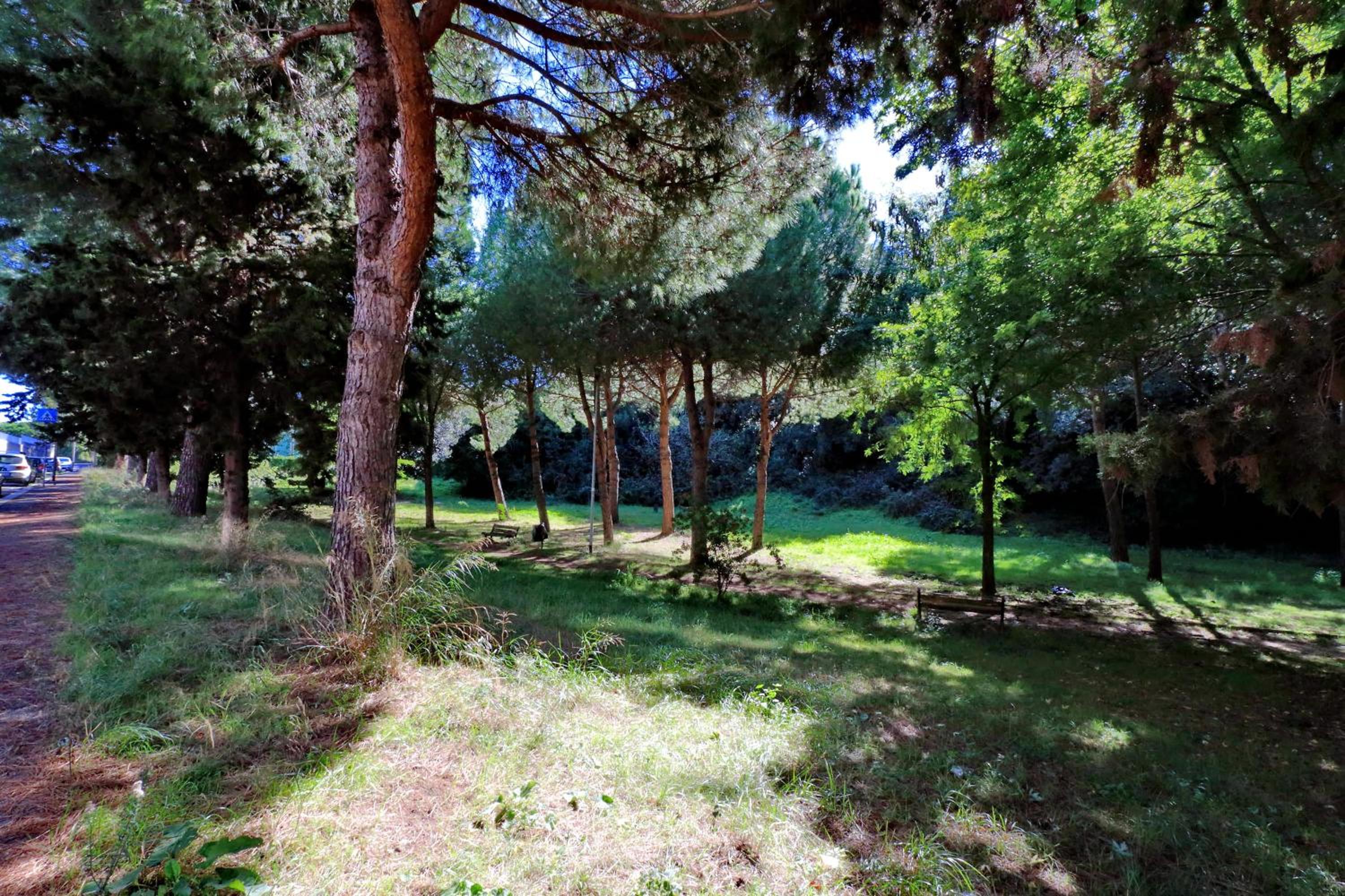 Aurelia Relax Apartment