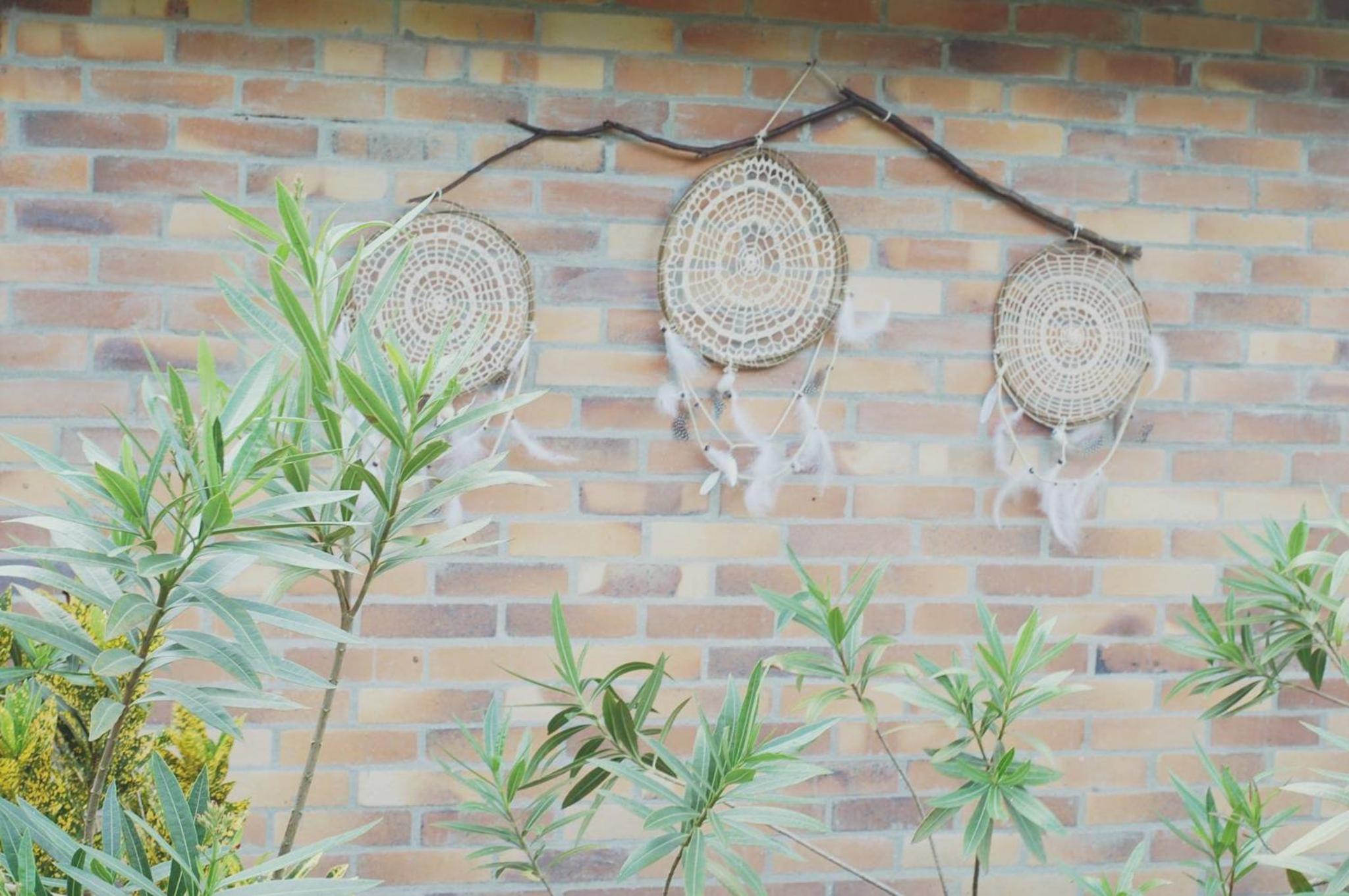 Tribu EcoHostal