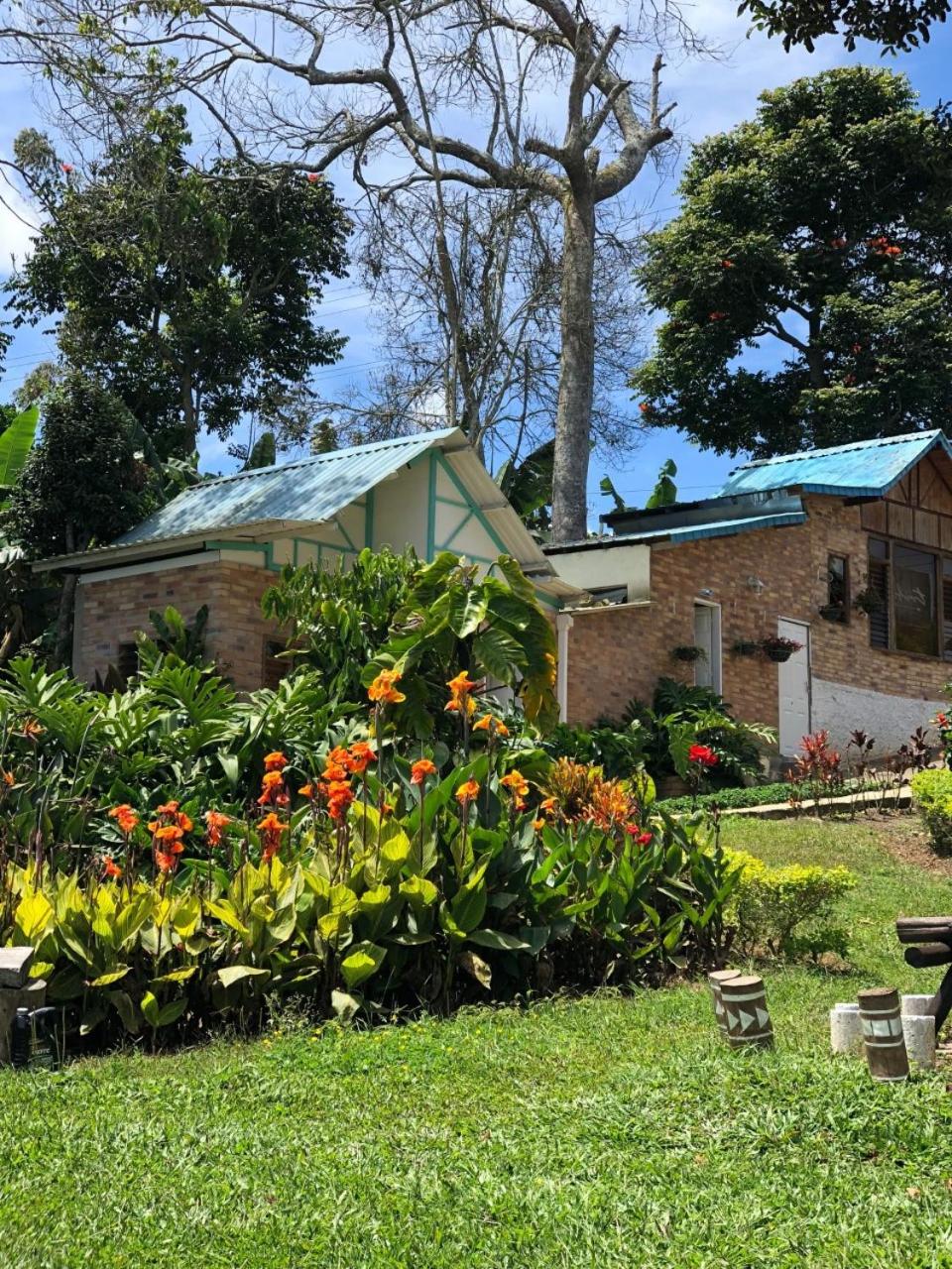 Tribu EcoHostal