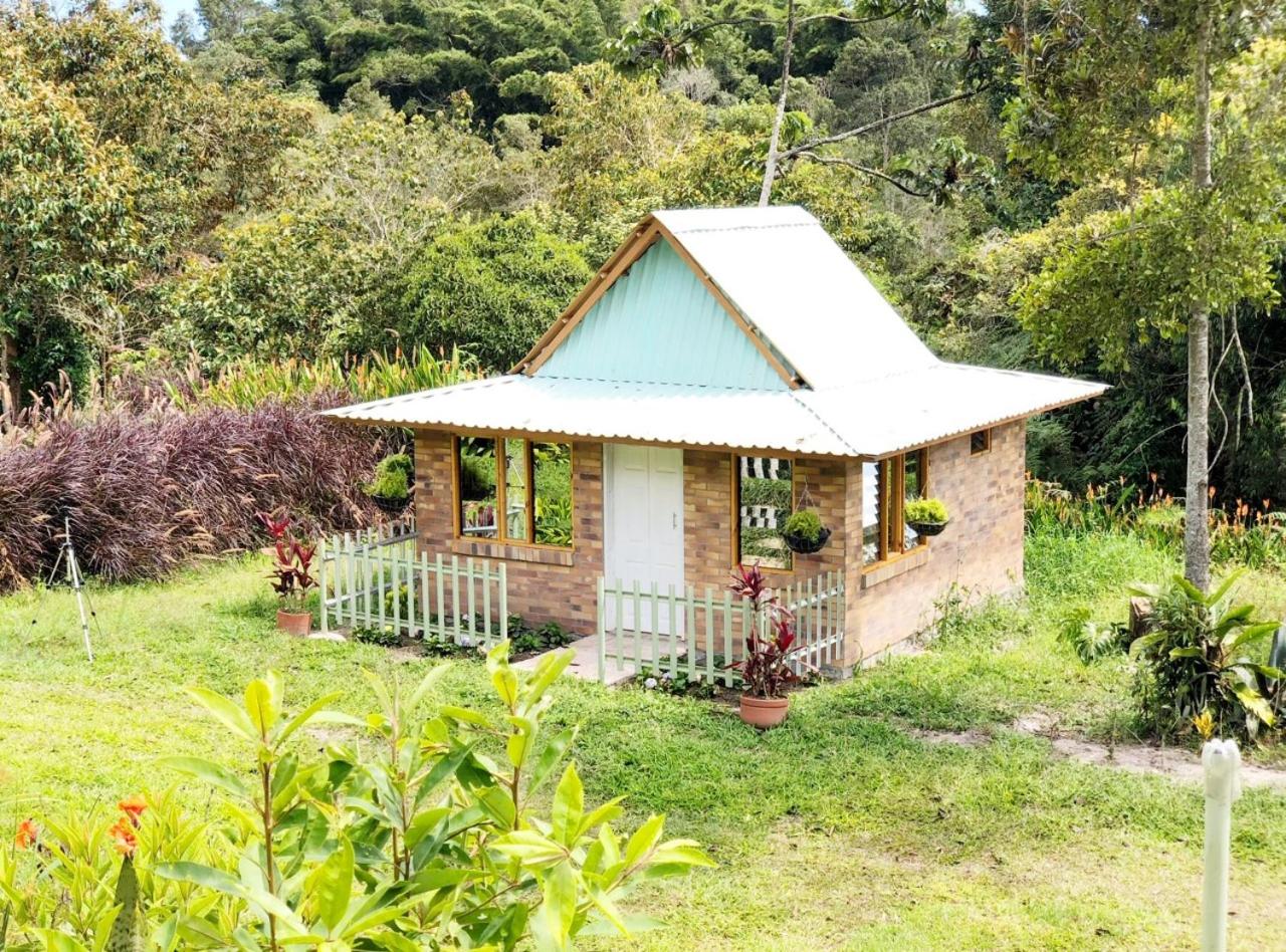 Tribu EcoHostal