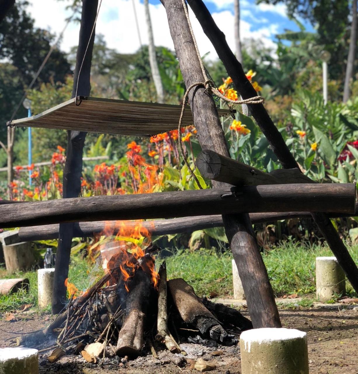 Tribu EcoHostal