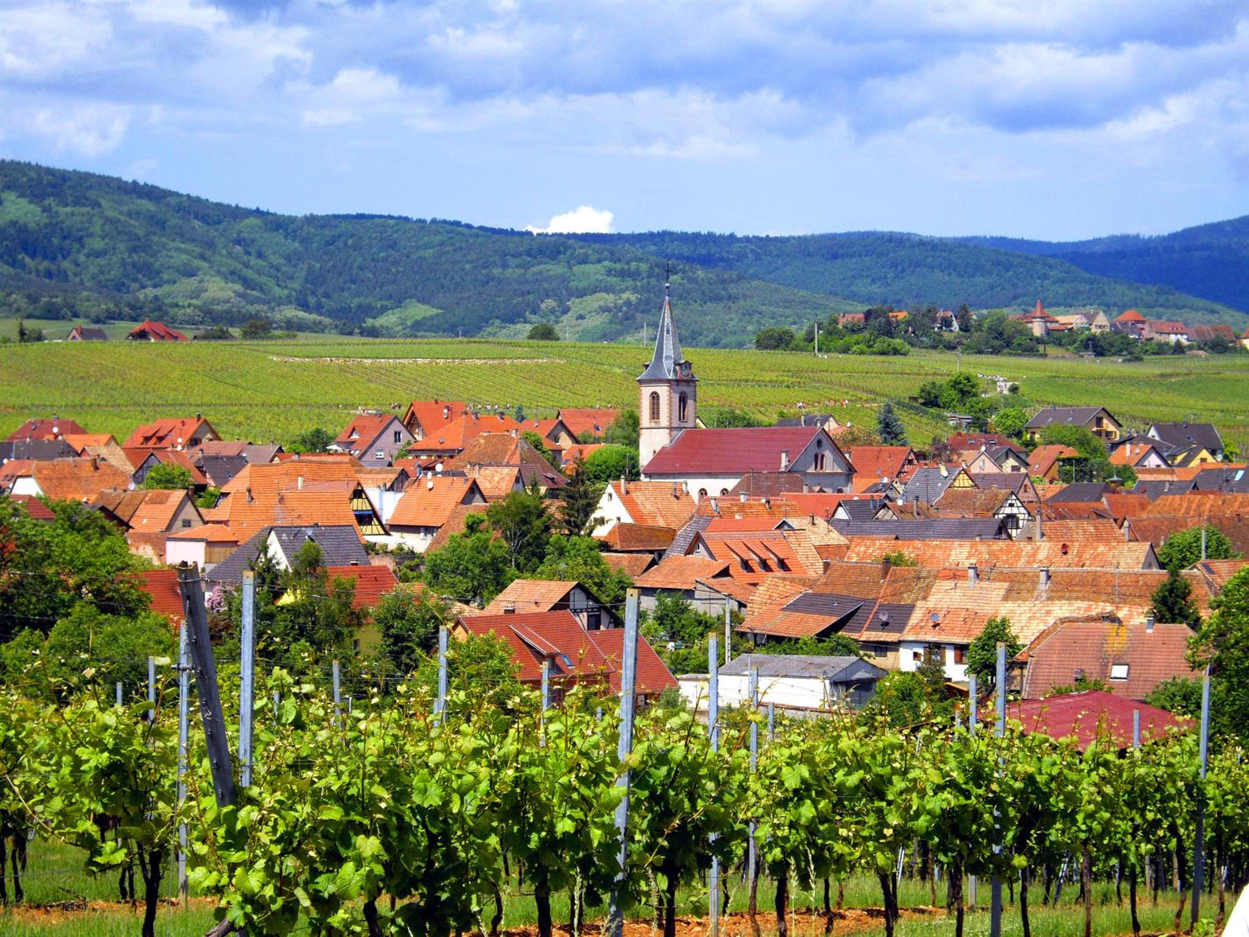 B&B Le Clos des Raisins