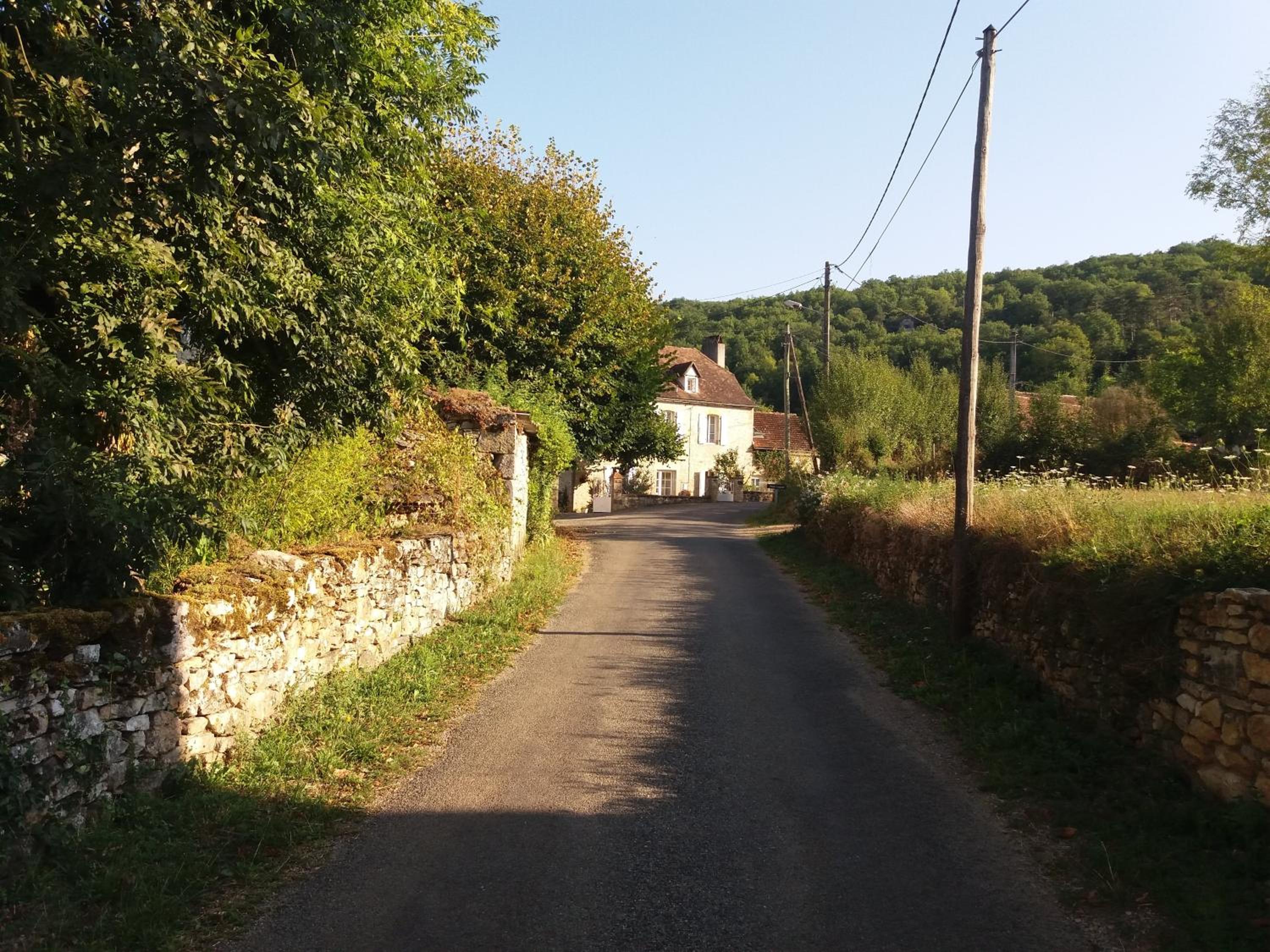 Photo 31