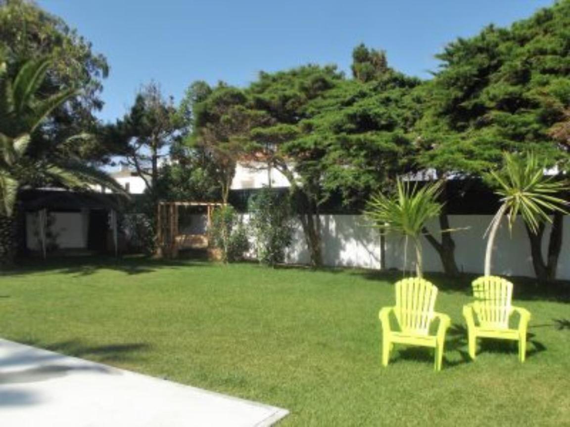 Silver Seahorse Garden Retreat II view 5