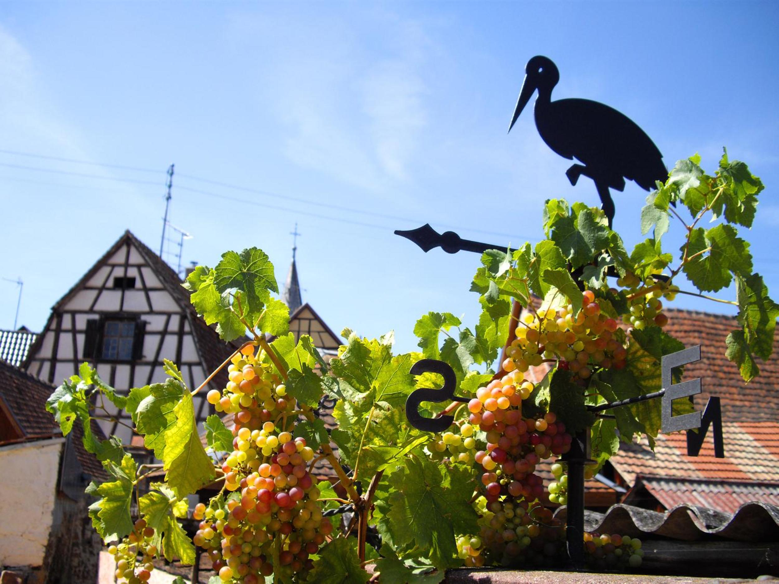B&B Le Clos des Raisins