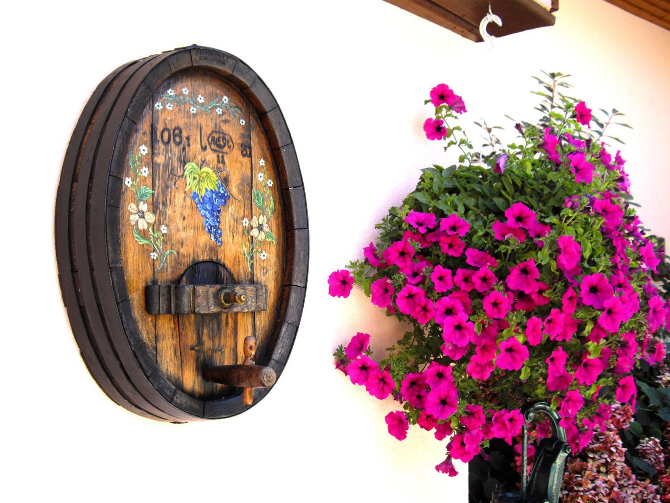 B&B Le Clos des Raisins