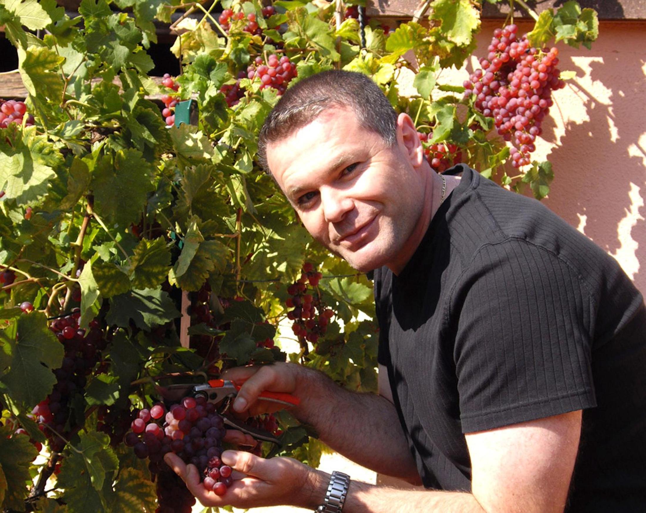 B&B Le Clos des Raisins