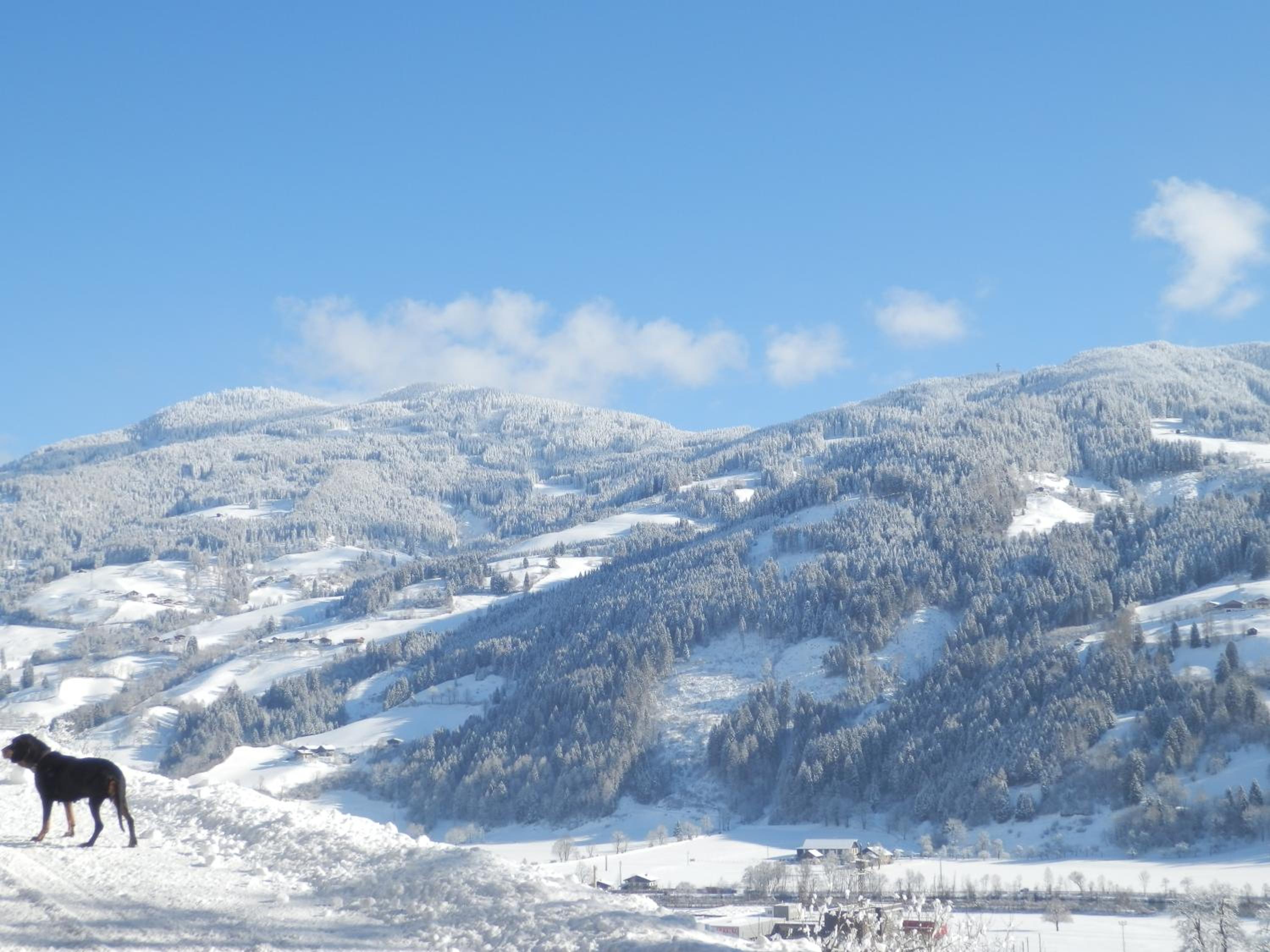 Gollehenhof