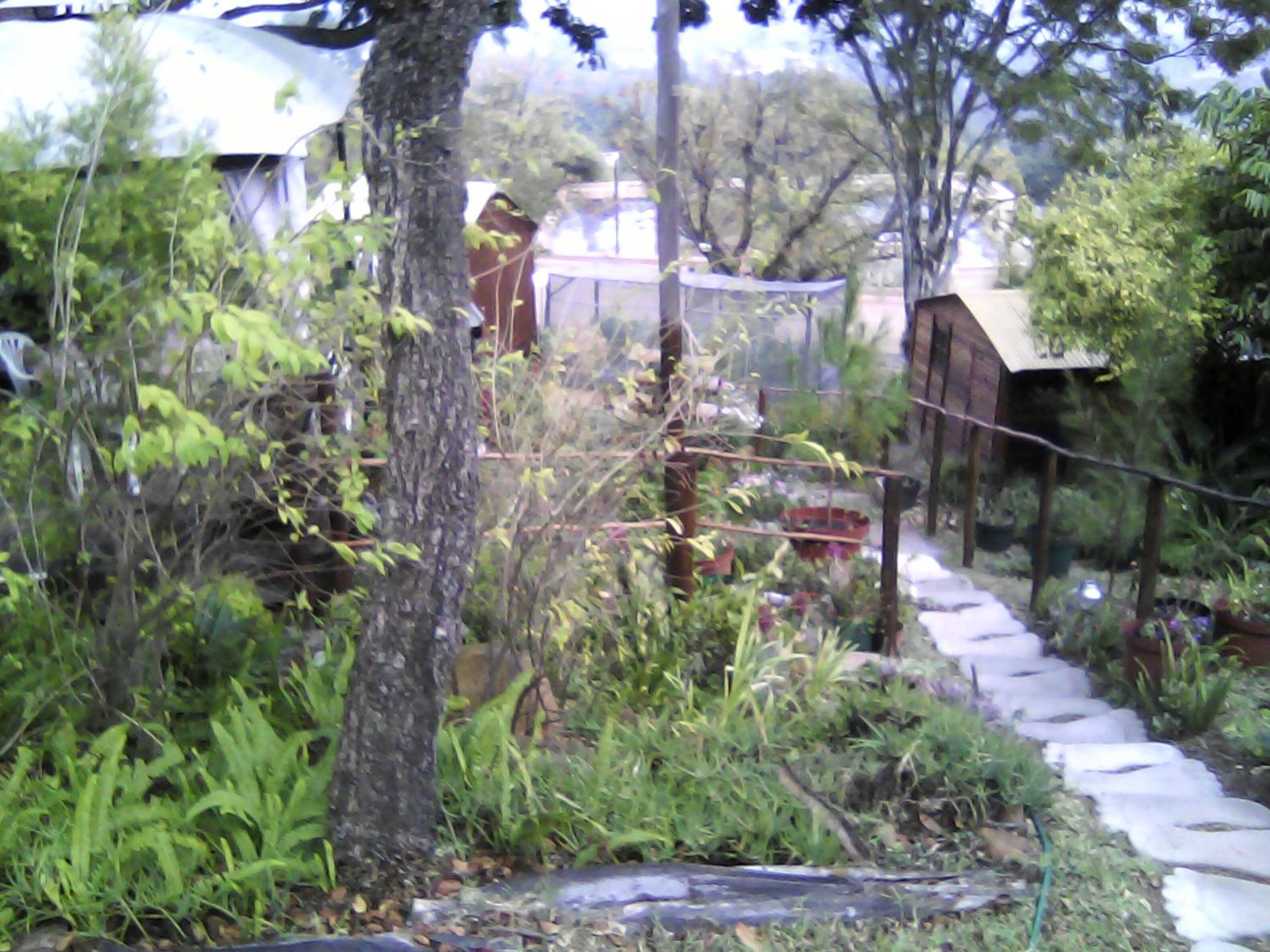 Photo 15