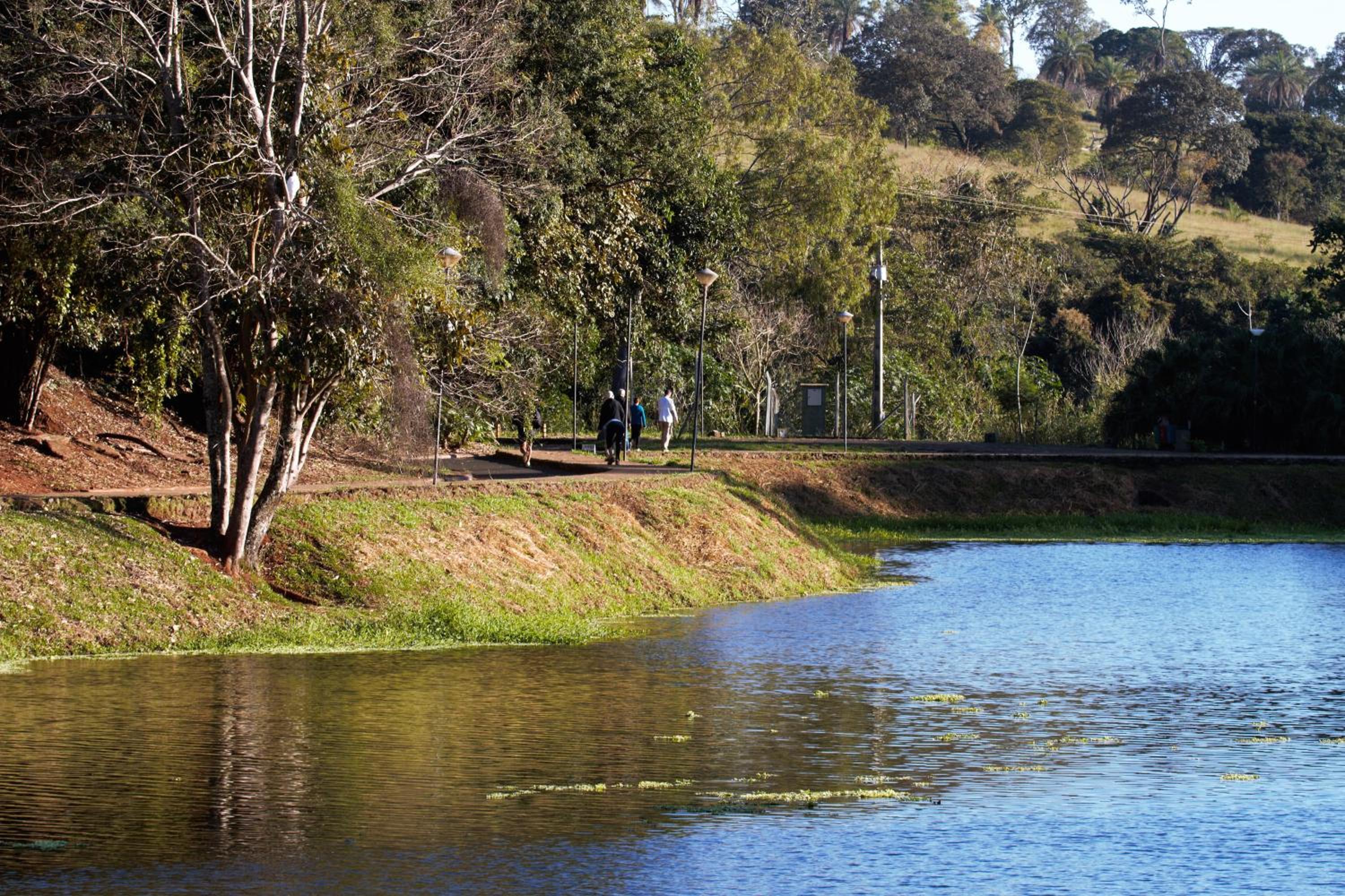 Chalé Bosque Do Barreiro