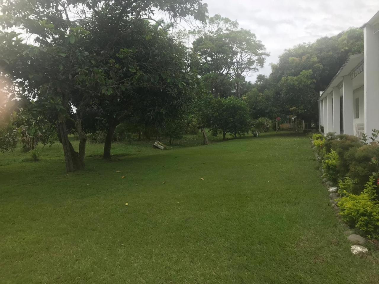 Photo 35