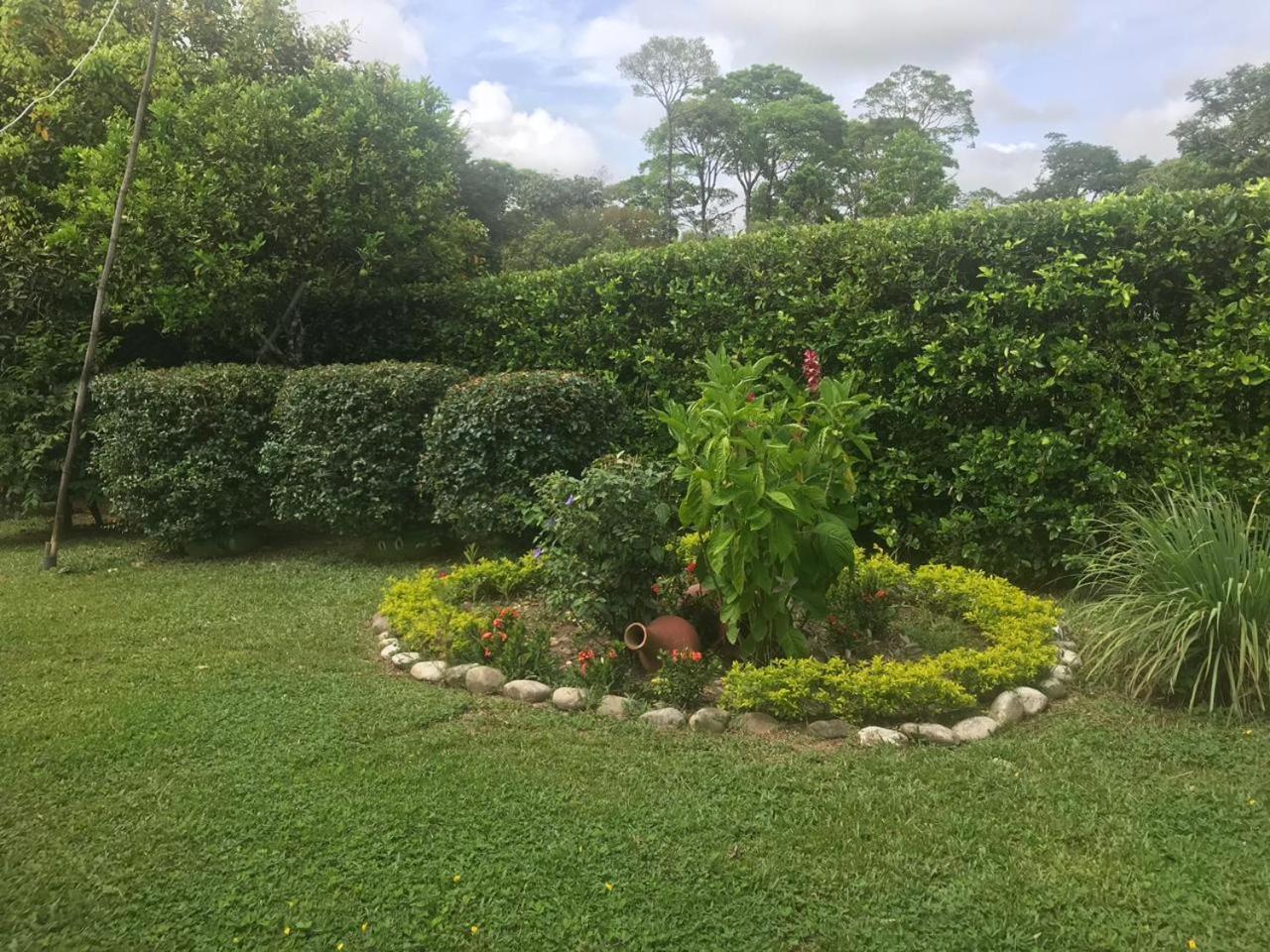 Finca la Miradita view 5