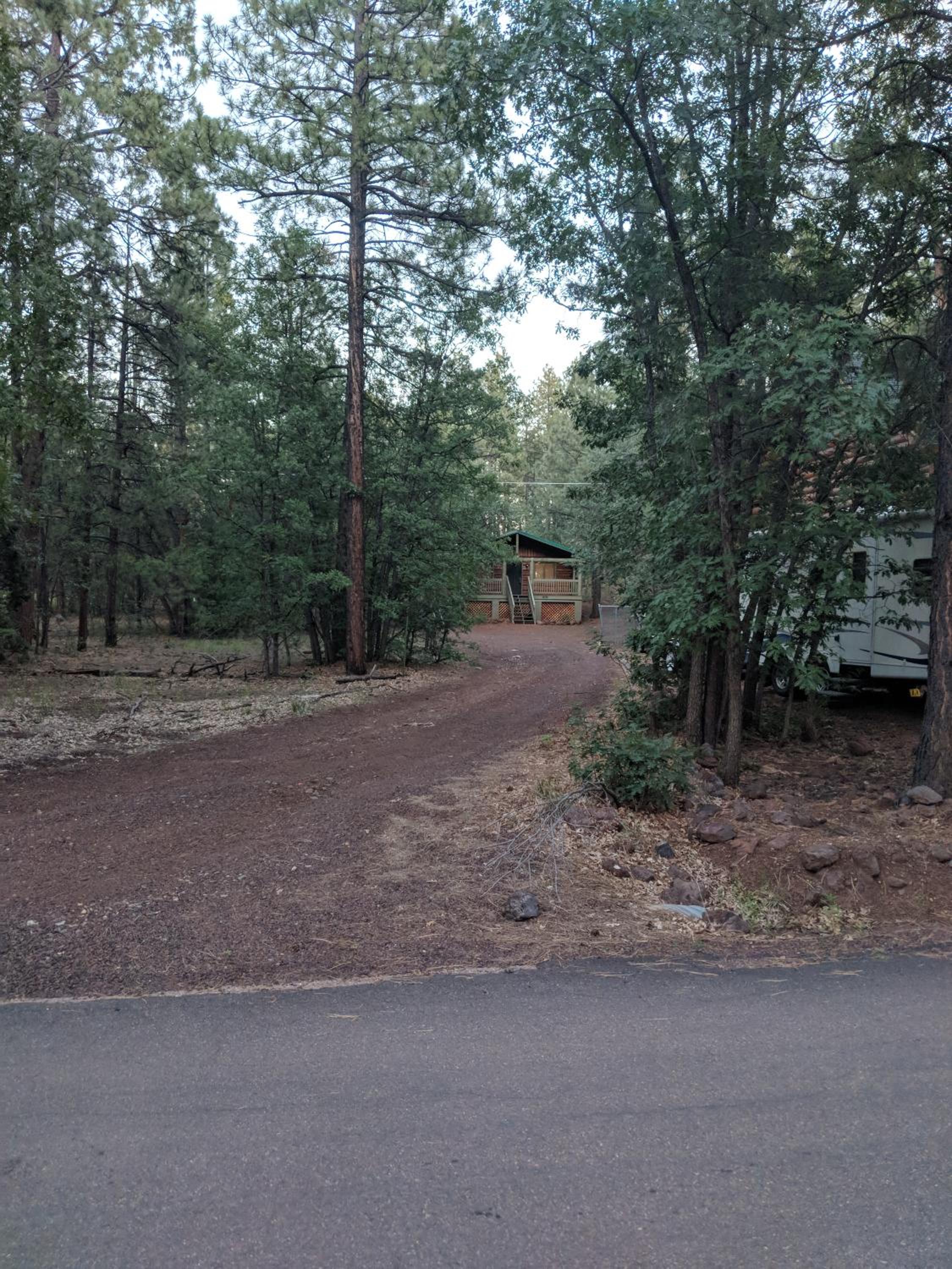 Charming Log Cabin in Tall Pines w Large Deck view 3