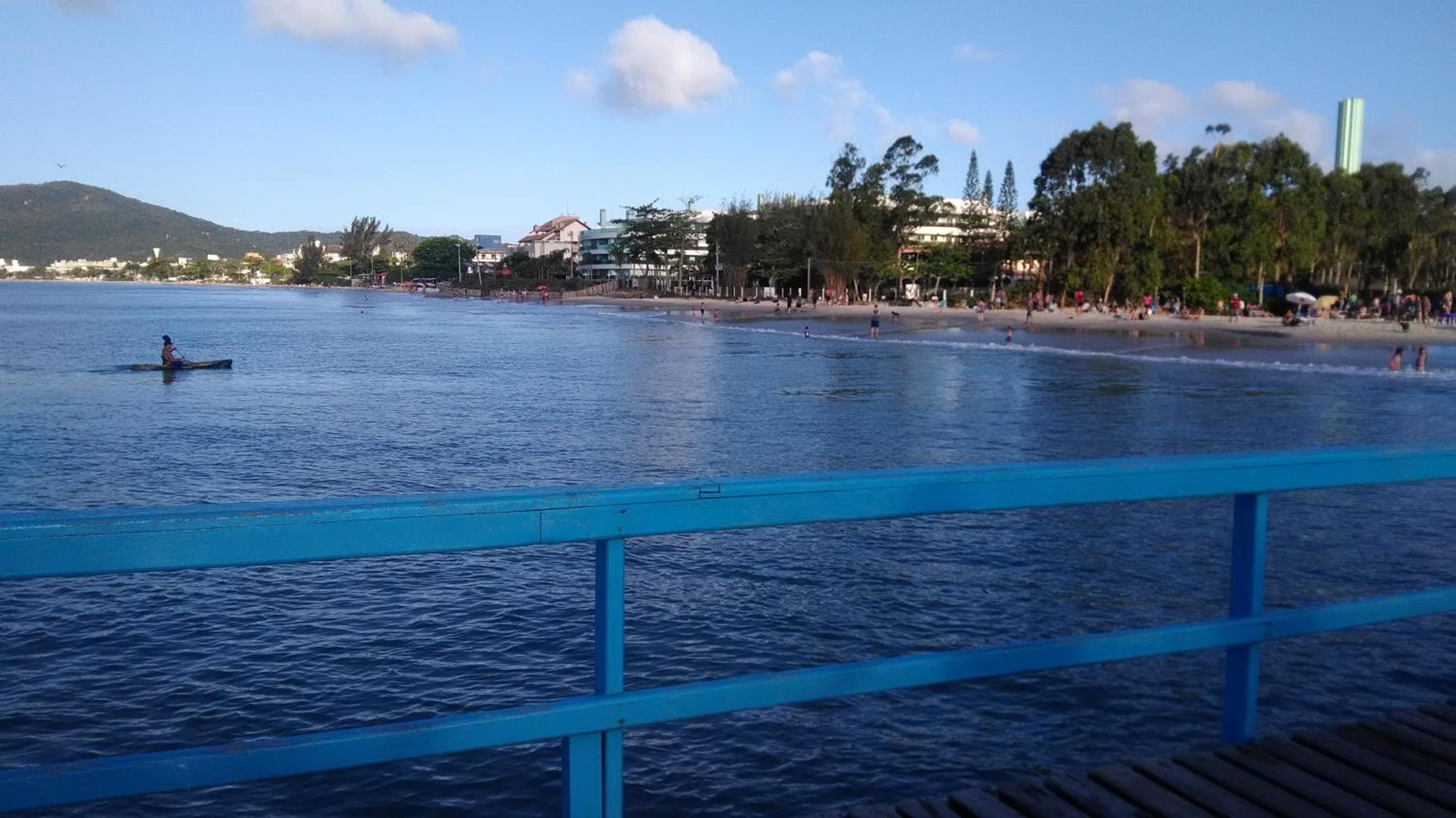 Tartaruga Azul