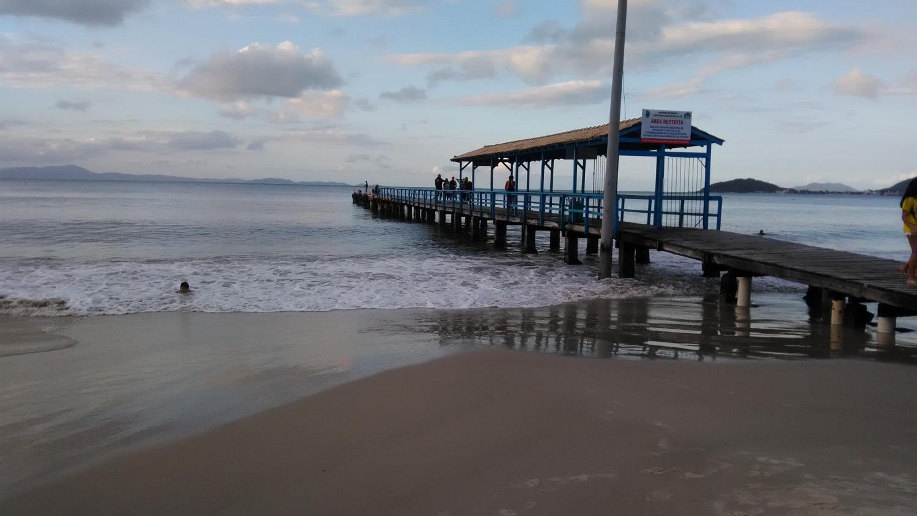 Tartaruga Azul