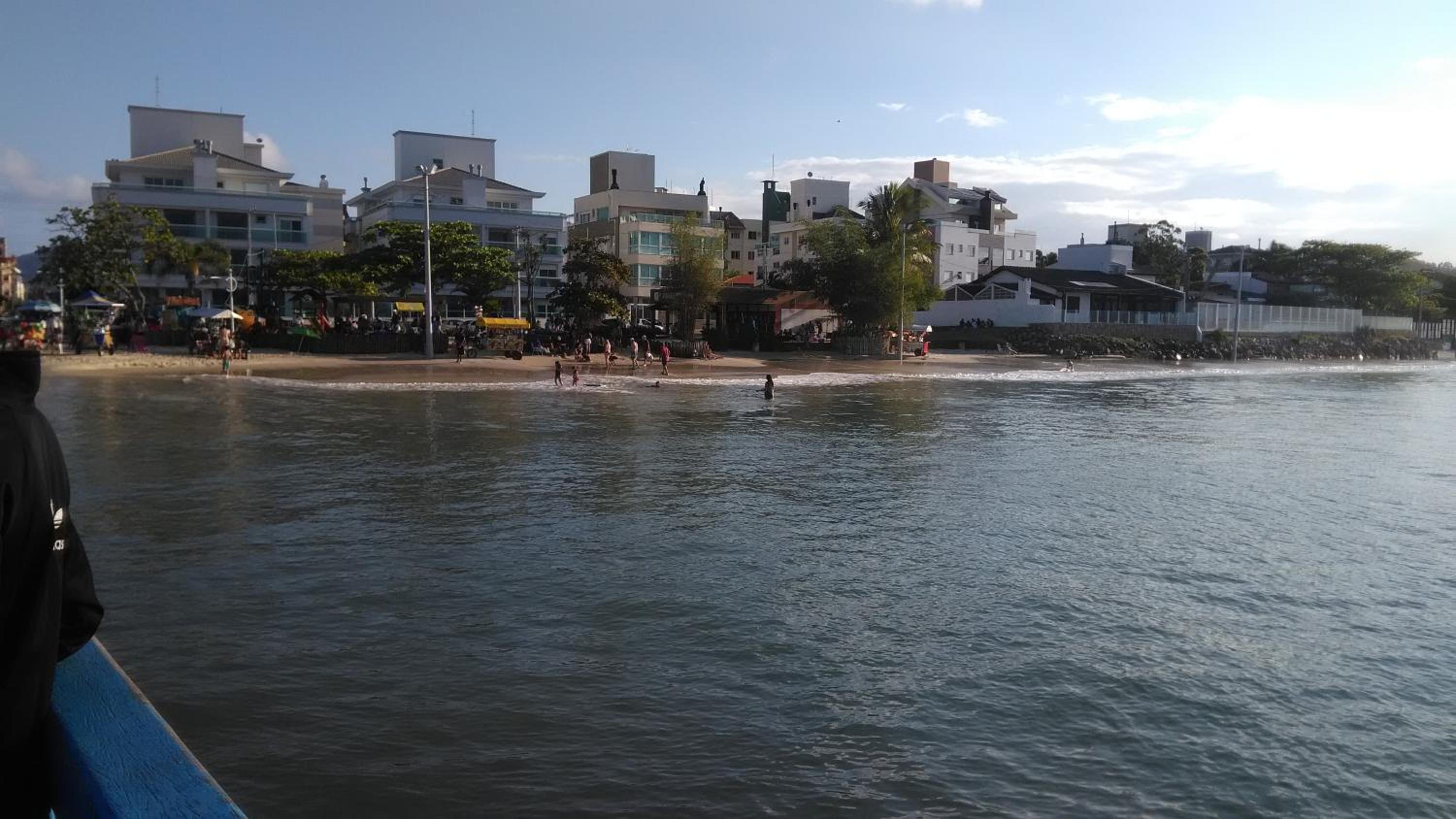 Tartaruga Azul
