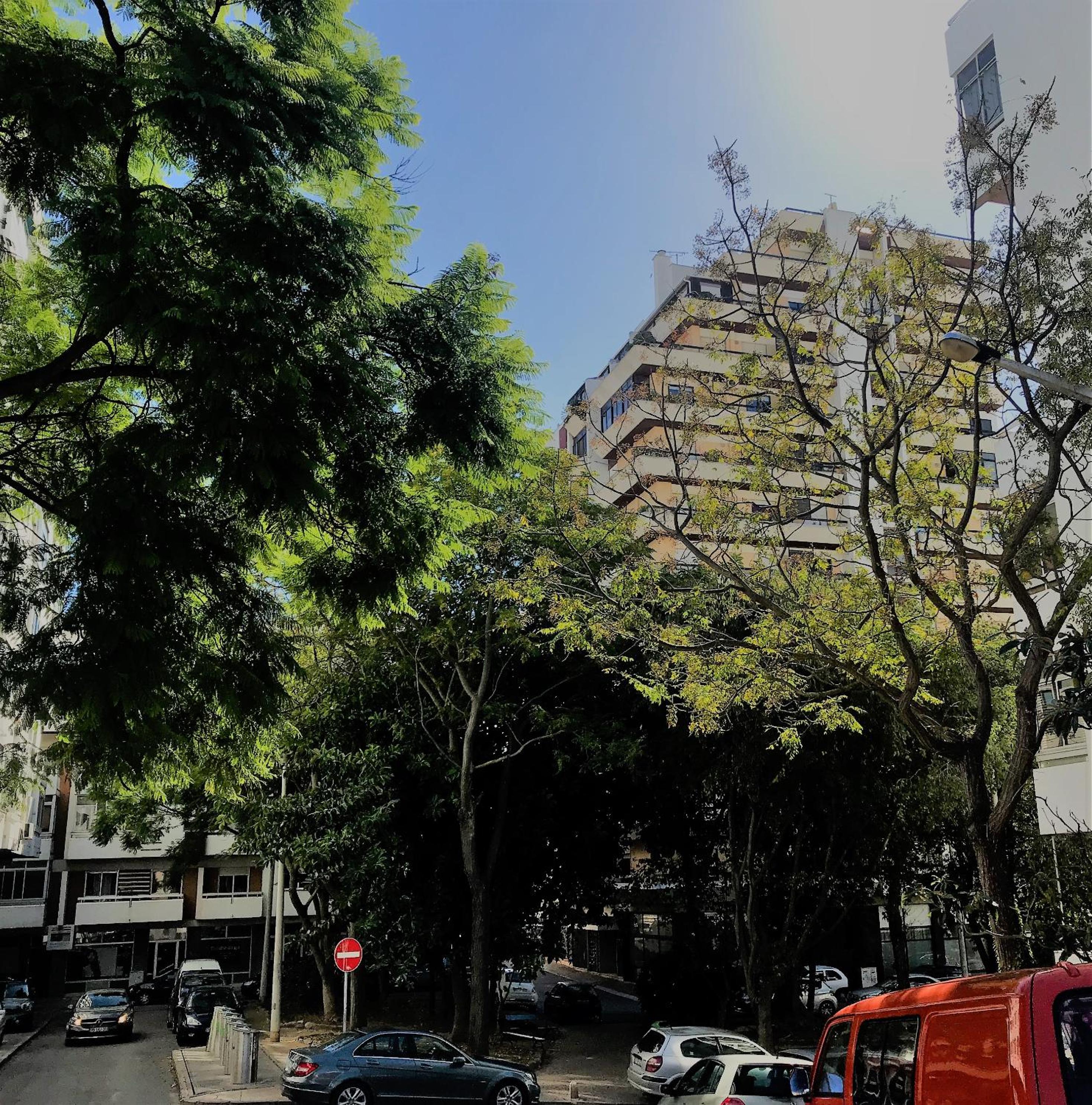 Hotel In Faro with Sea View - Image 1