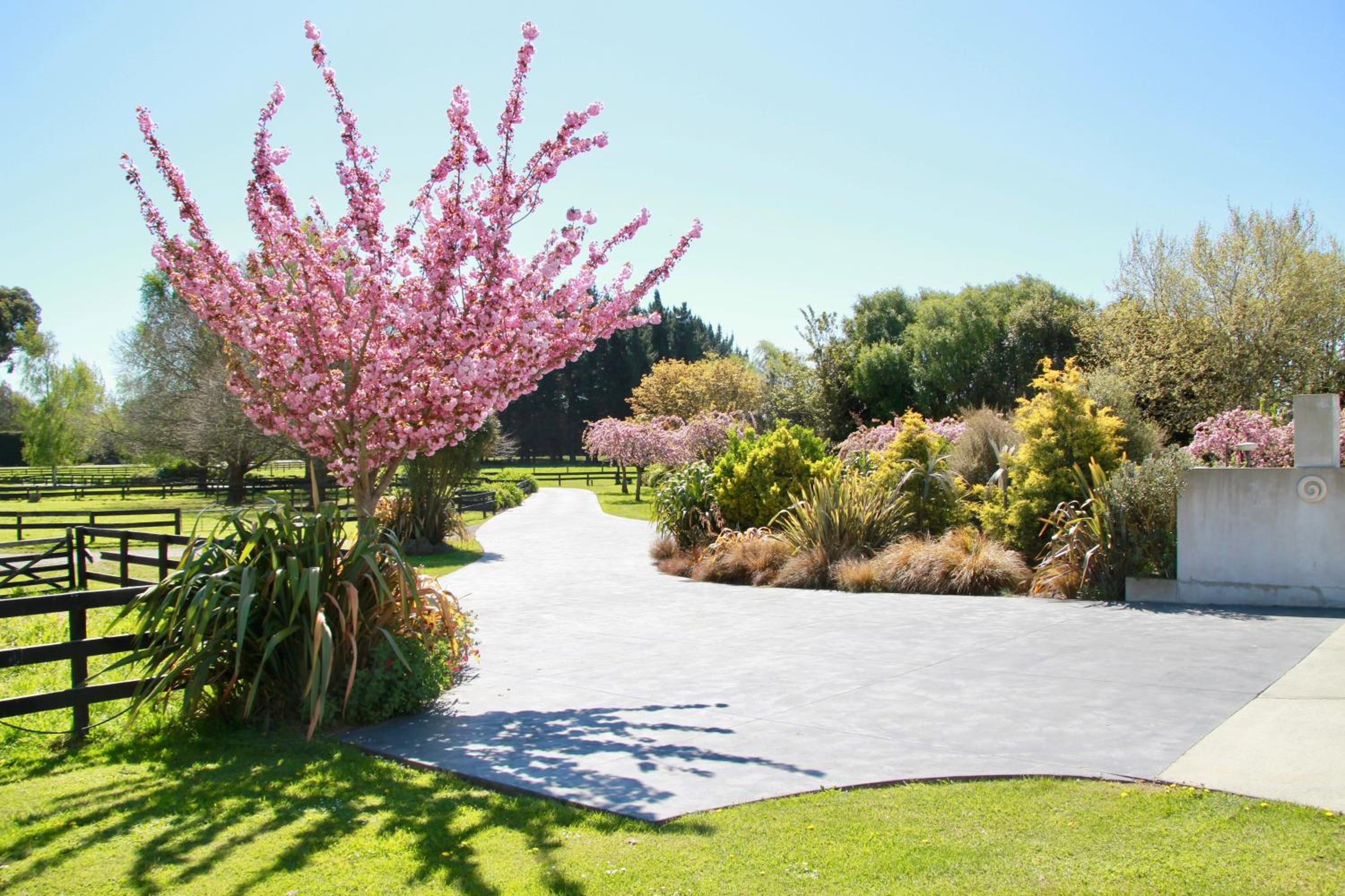 Silverstream Alpaca Farmstay & Tour