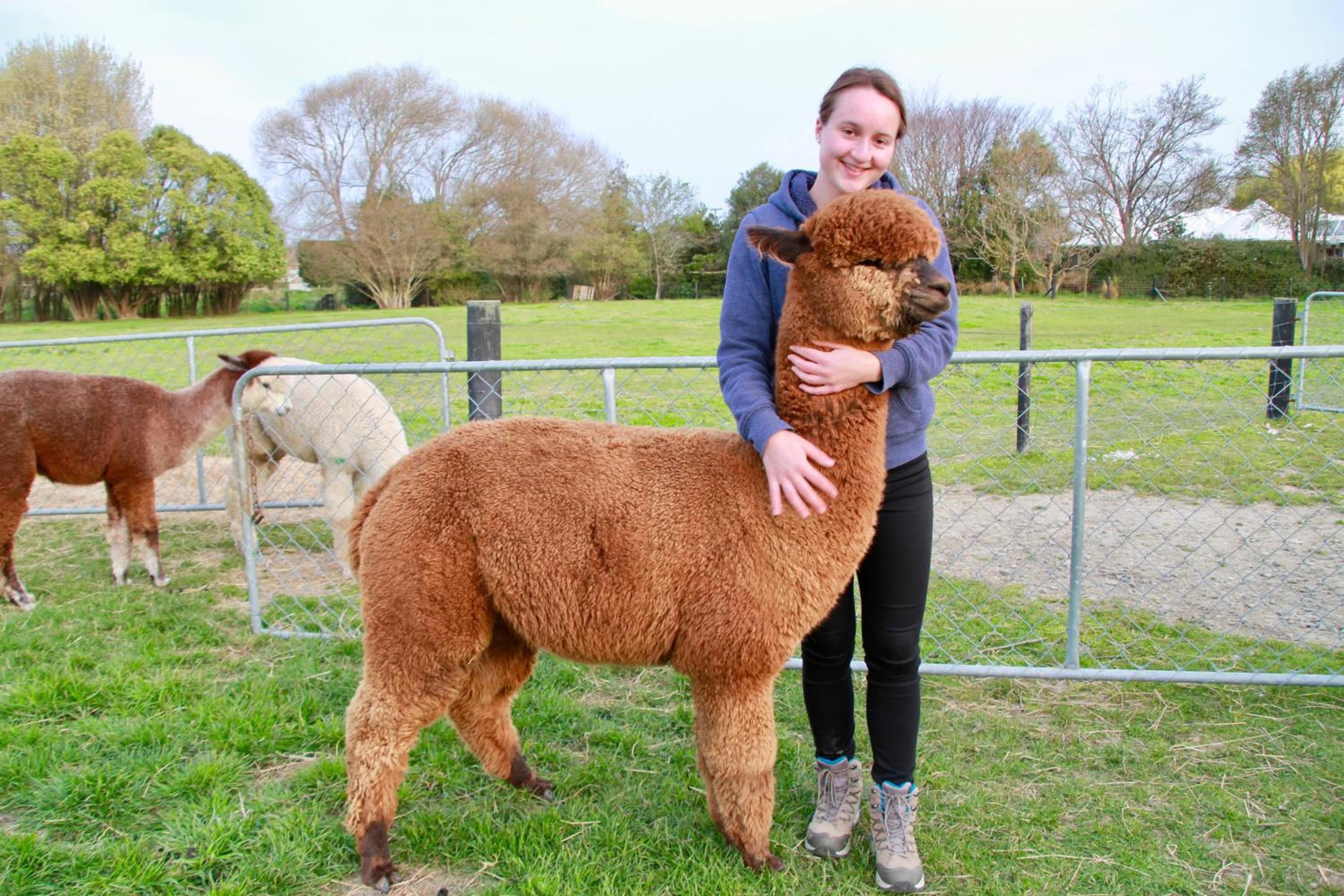 Silverstream Alpaca Farmstay & Tour