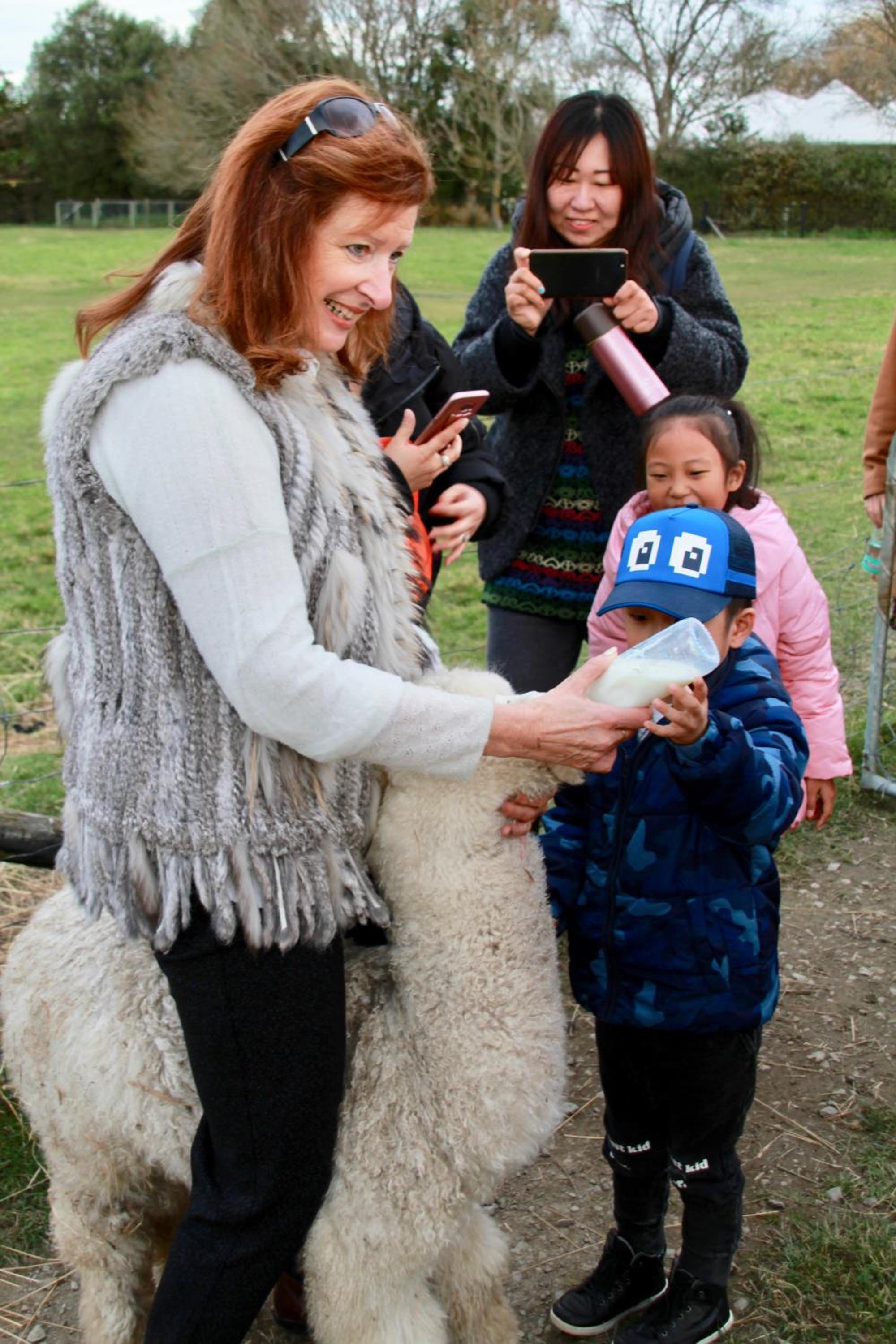 Silverstream Alpaca Farmstay & Tour