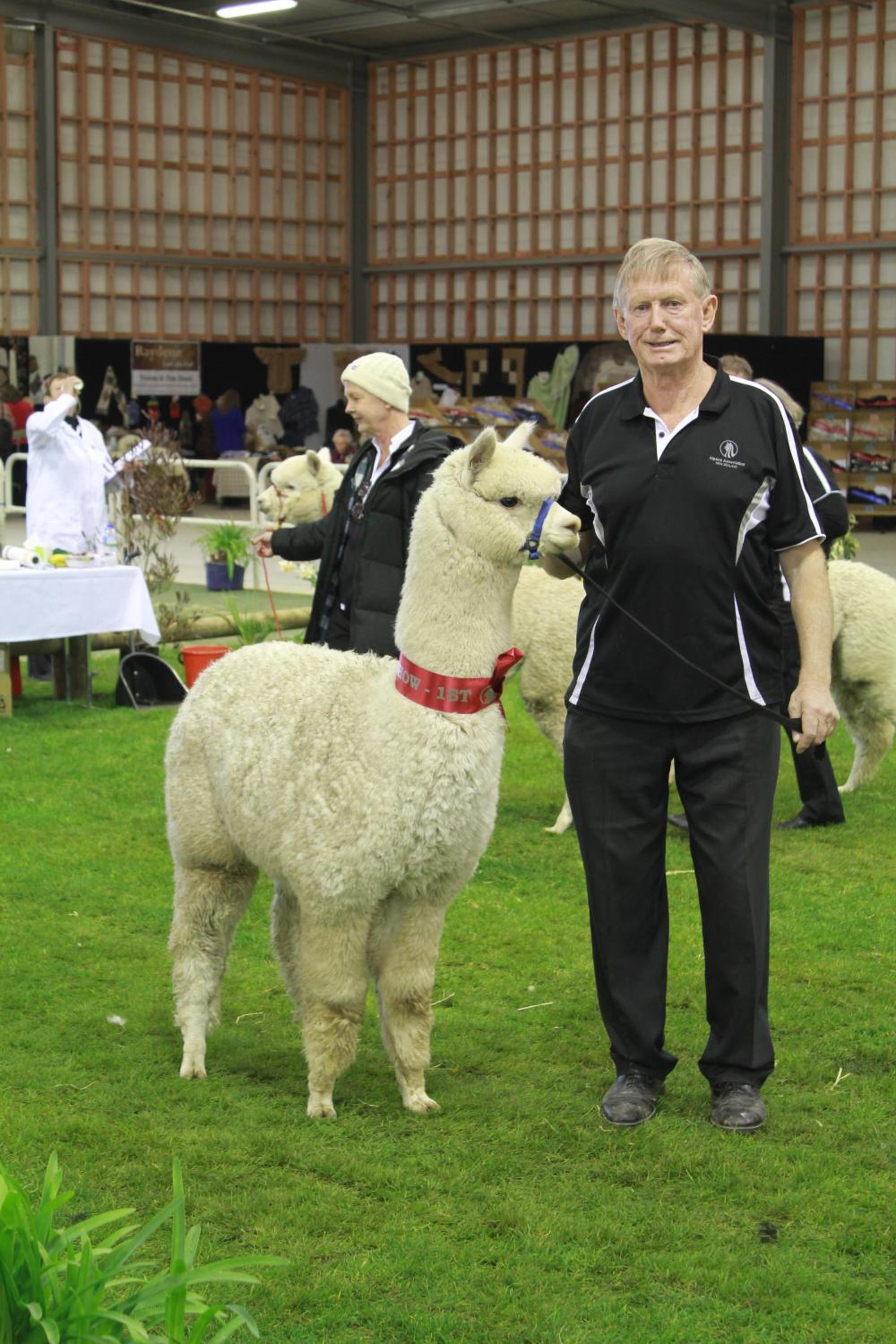 Silverstream Alpaca Farmstay & Tour