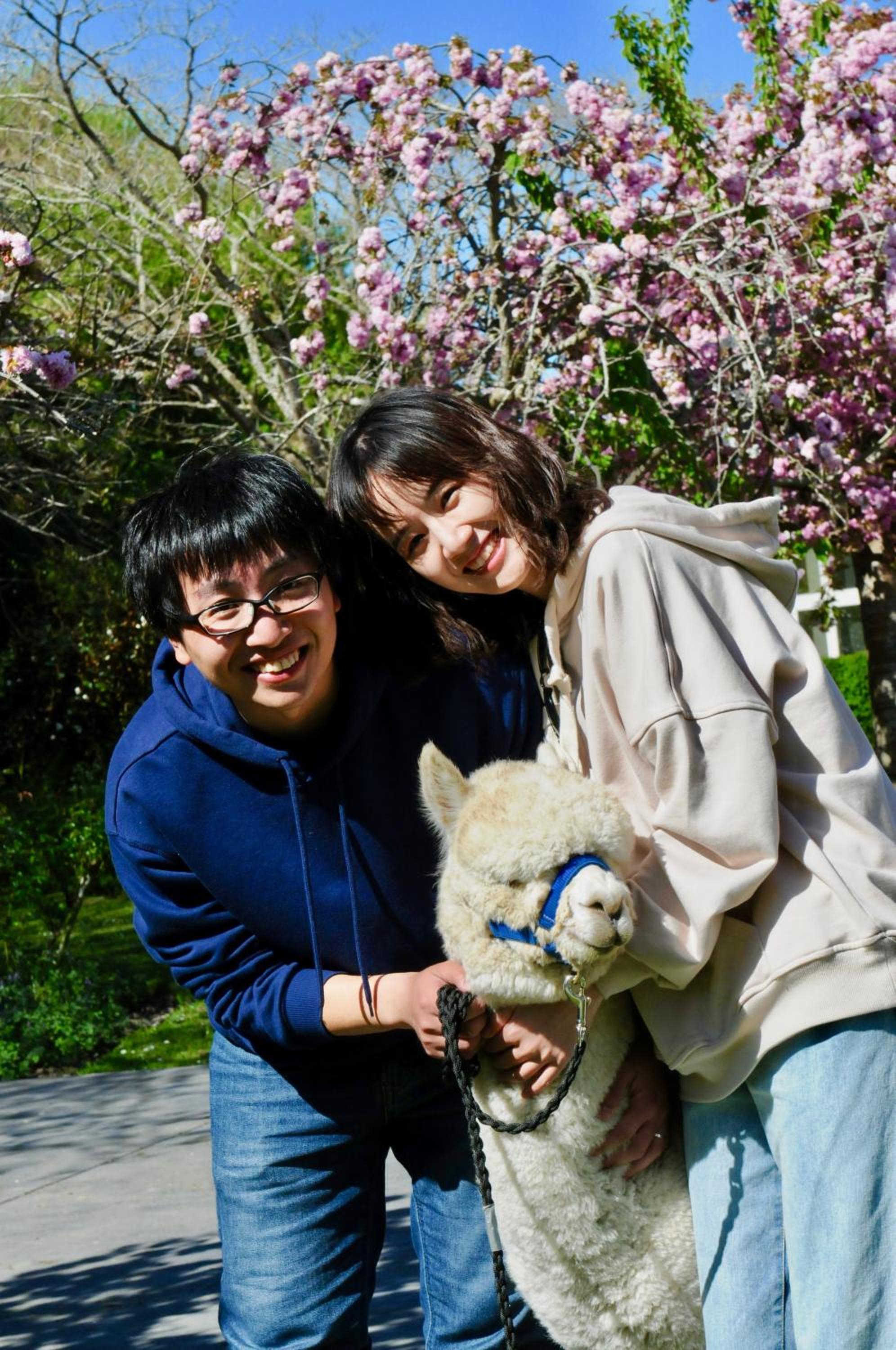 Silverstream Alpaca Farmstay & Tour